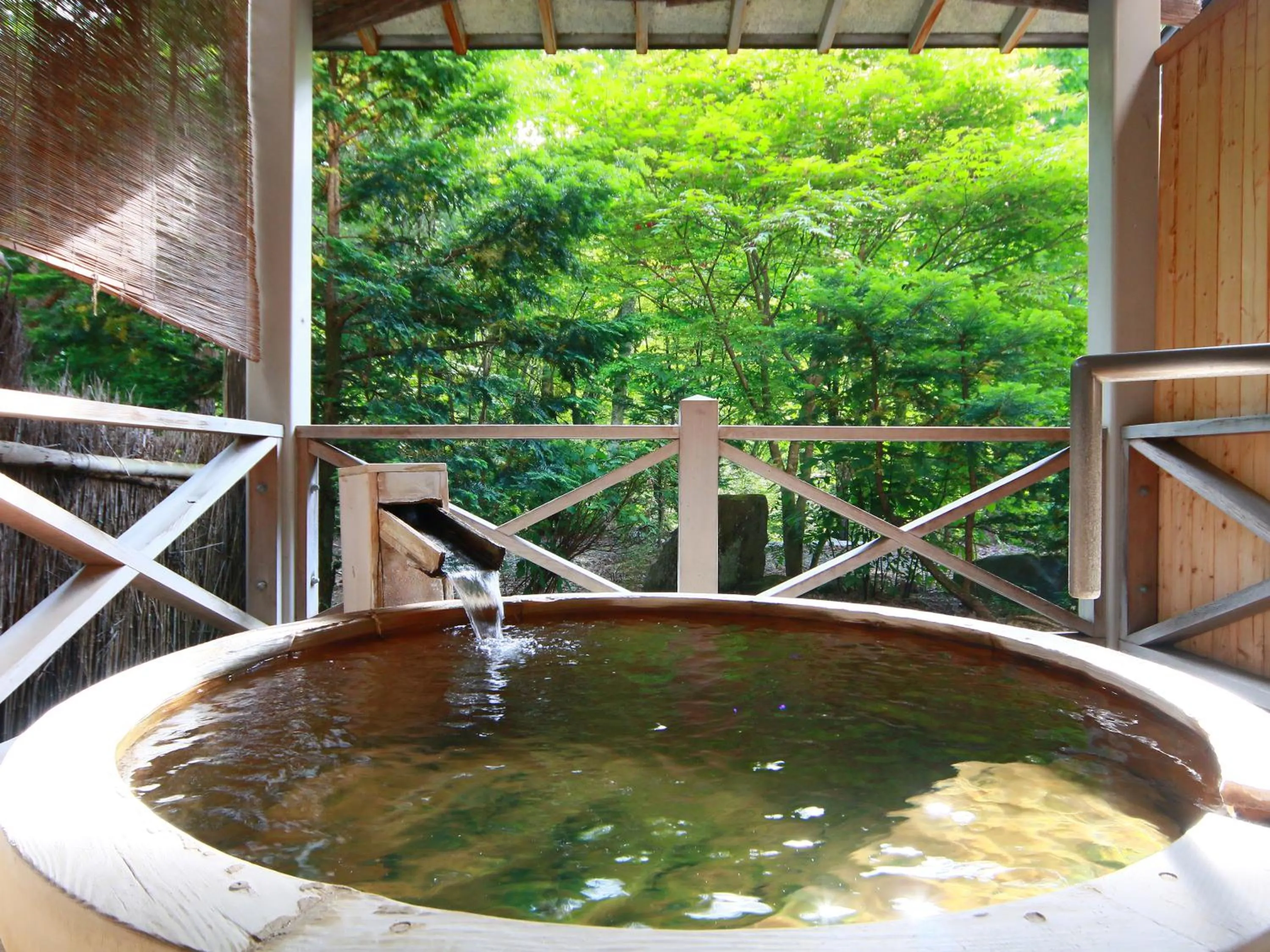 Natural landscape in Matsunoi