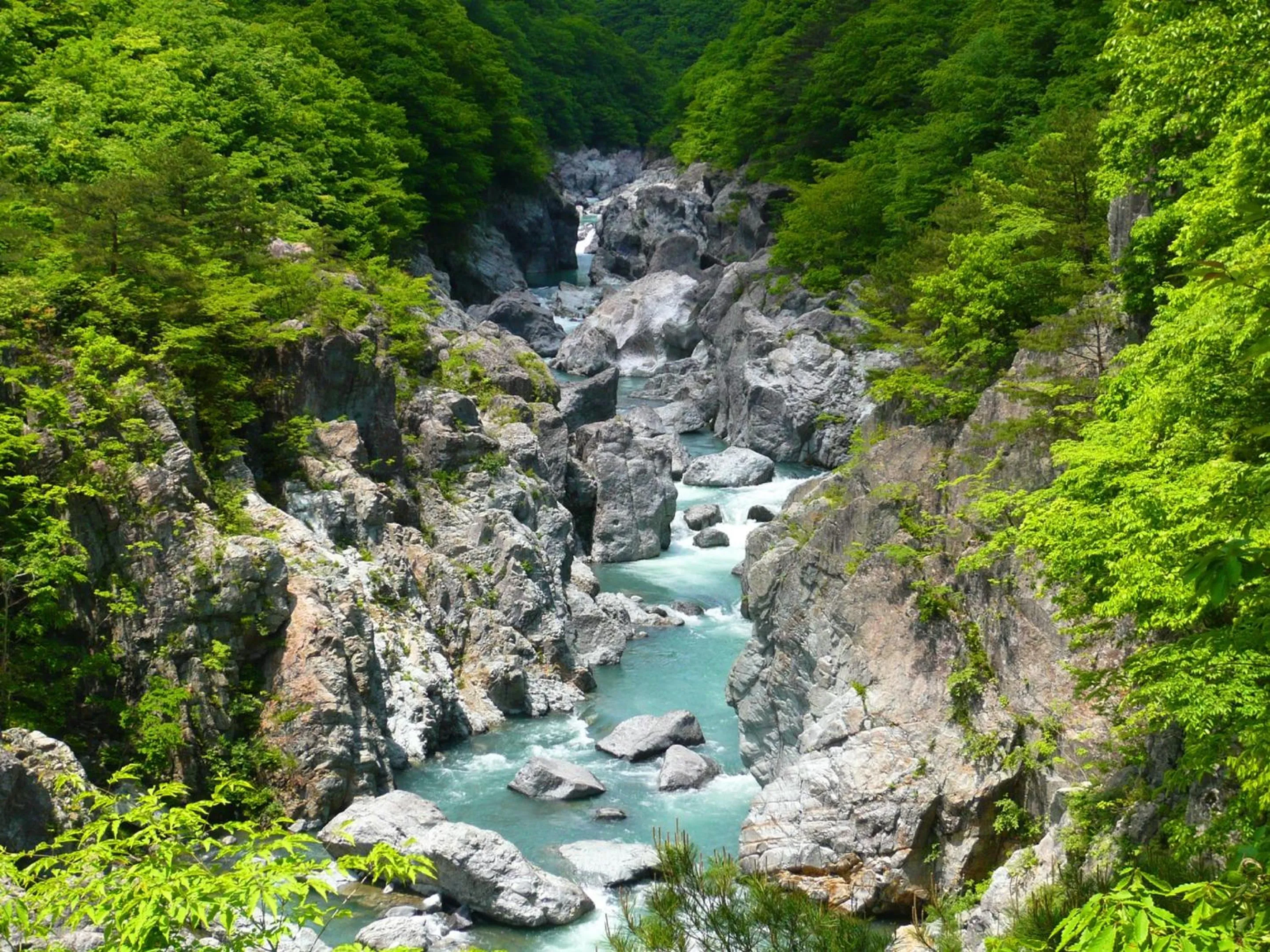 Kinugawa Plaza Hotel