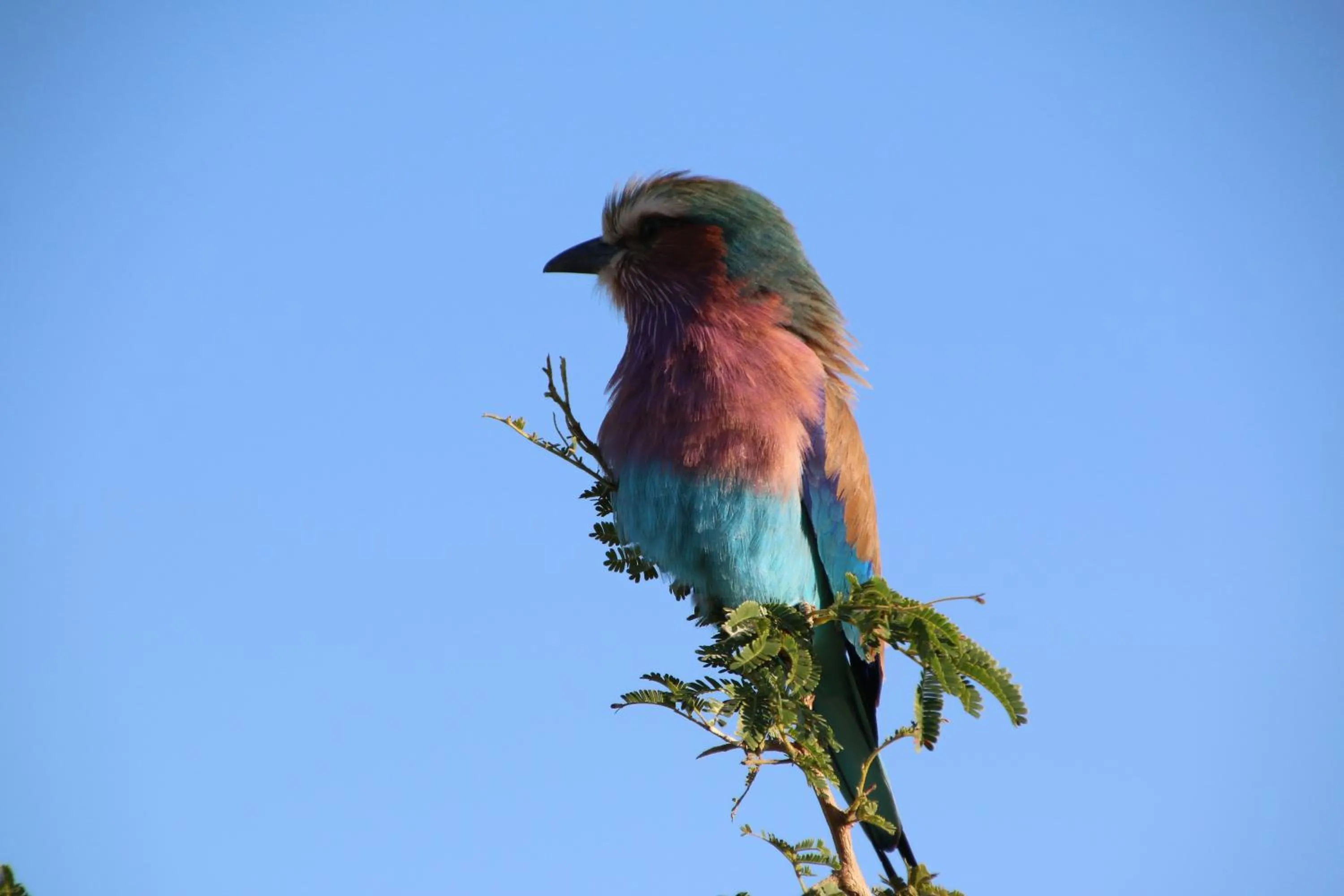 Natural landscape in La Lechere Guest House