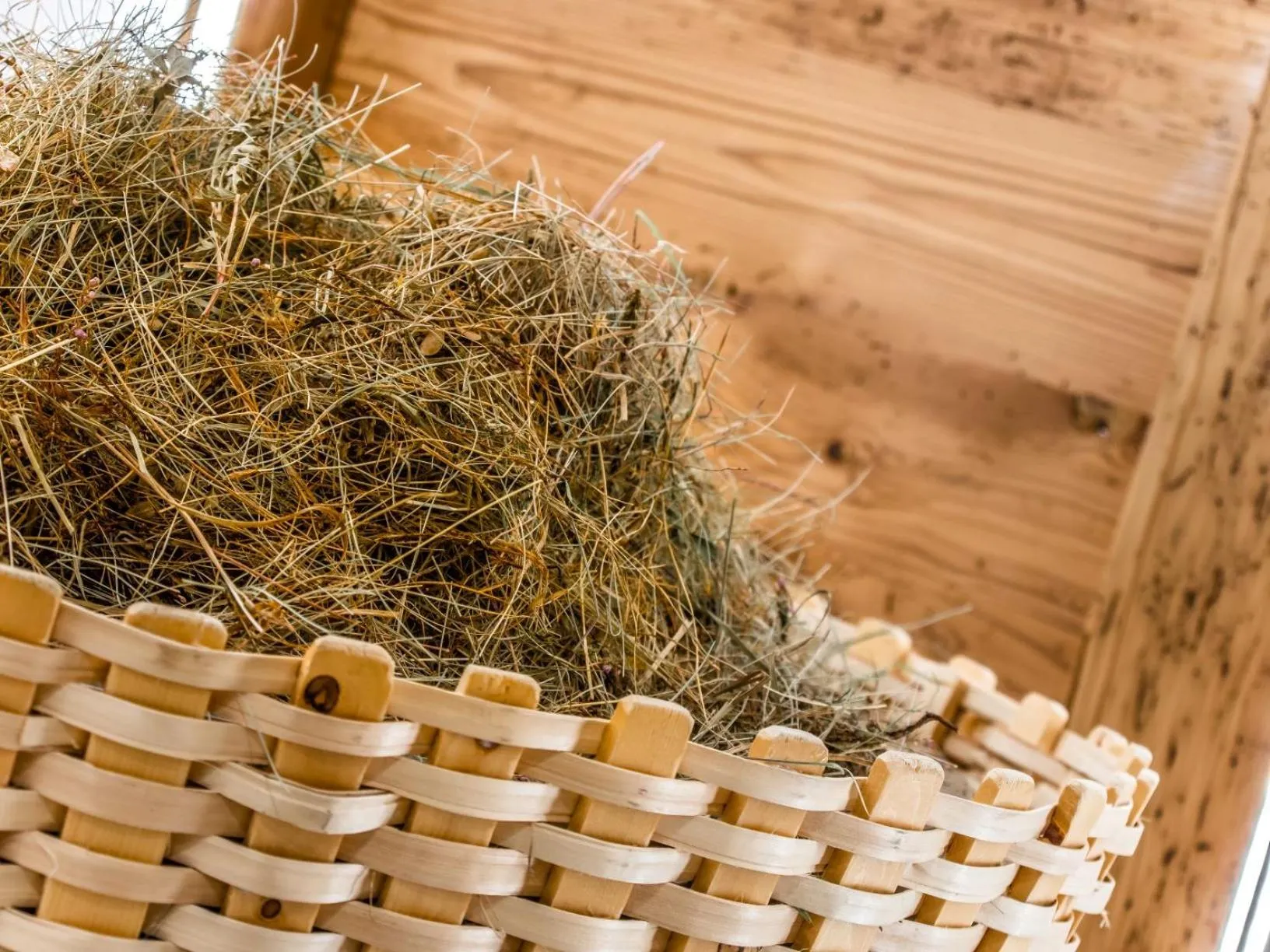 Sauna in The Laurin Small & Charming