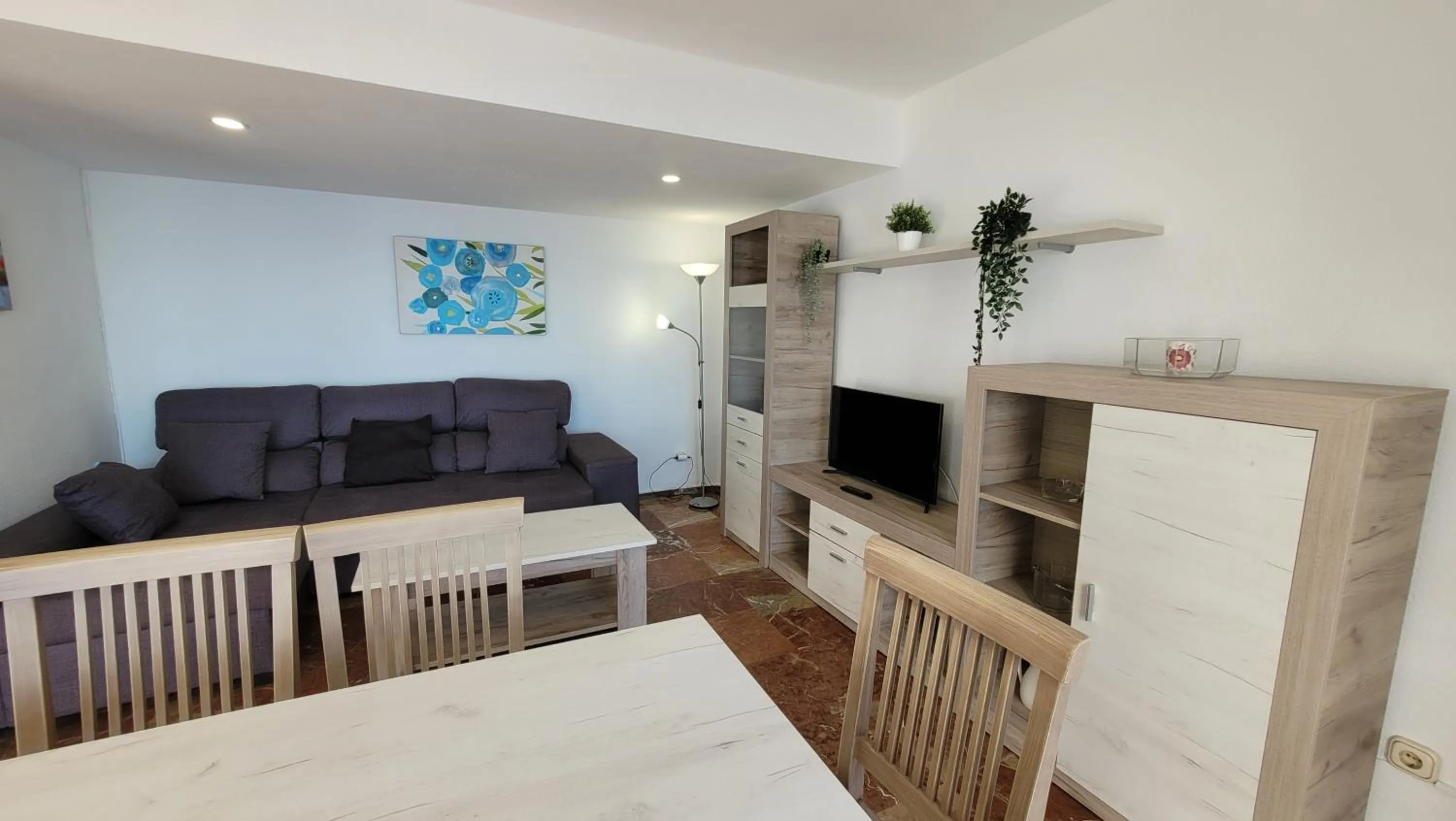 TV and multimedia in Veracruz-Fincas Benidorm