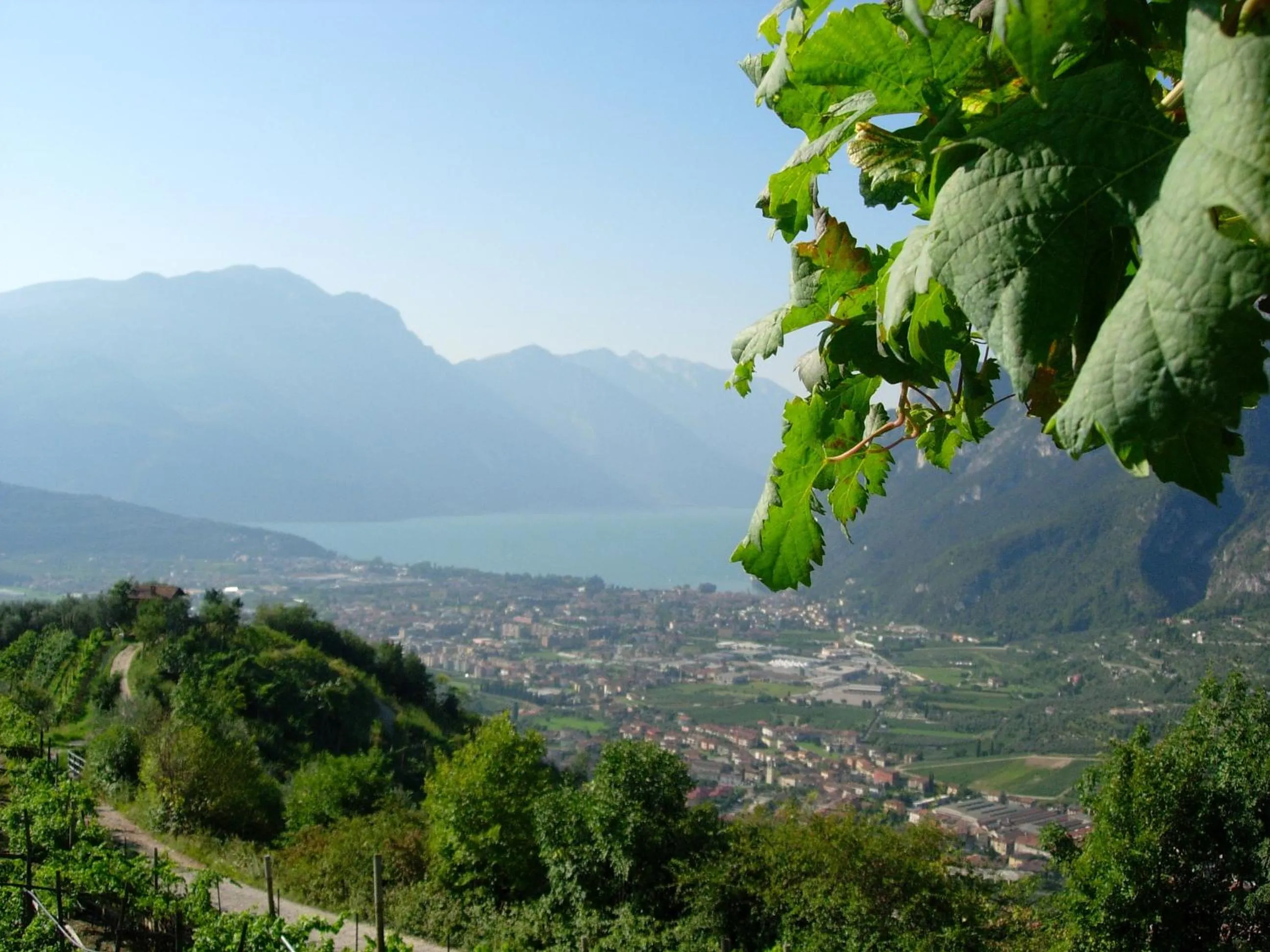 Natural landscape in Hotel Antica Croce - Gardaslowemotion