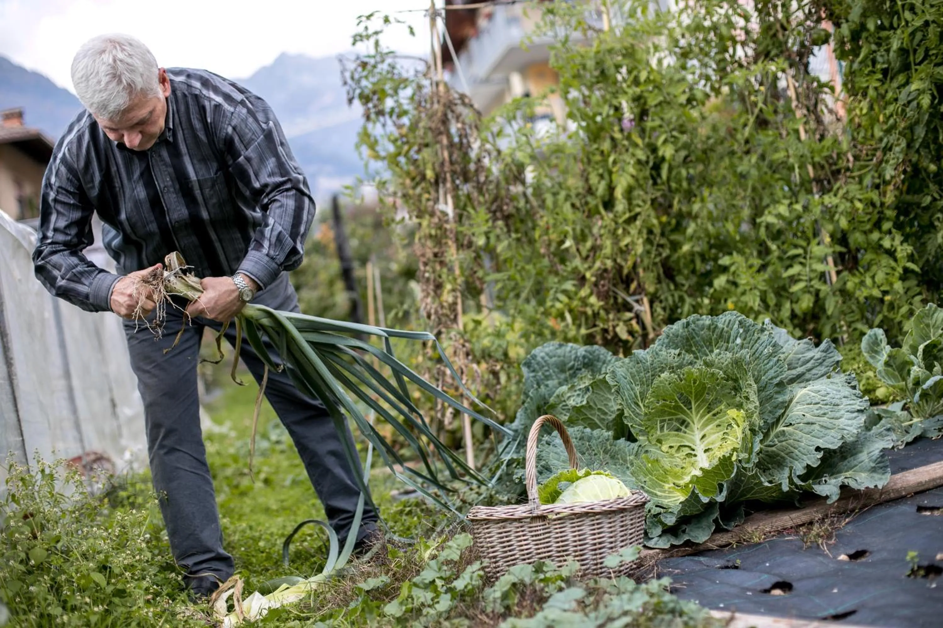 Food in Hotel Antica Croce - Gardaslowemotion