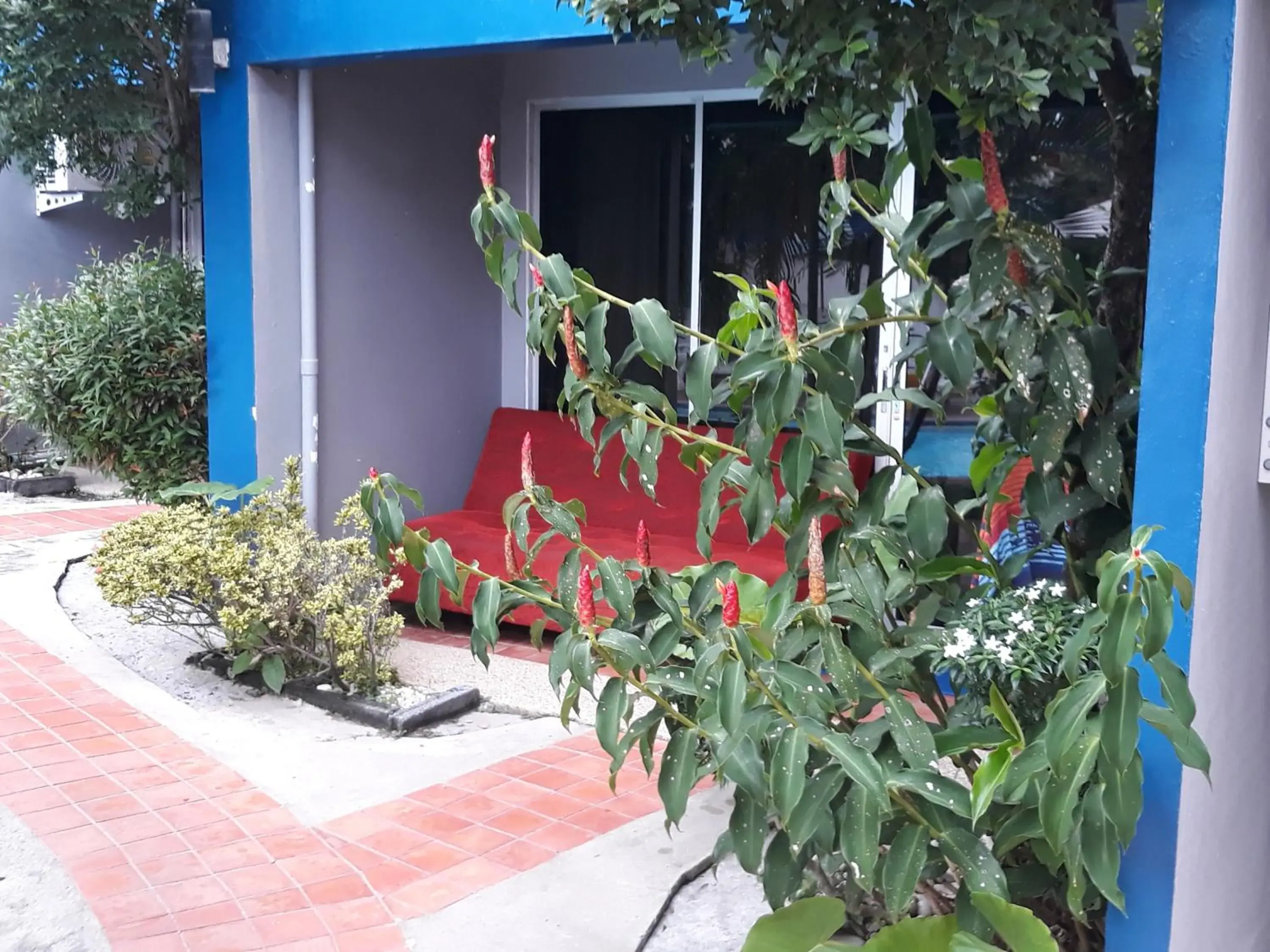 Quadruple Room with Garden View in PorterHouse Beach Hotel Quadruple Room with Garden View in PorterHouse Beach Hotel