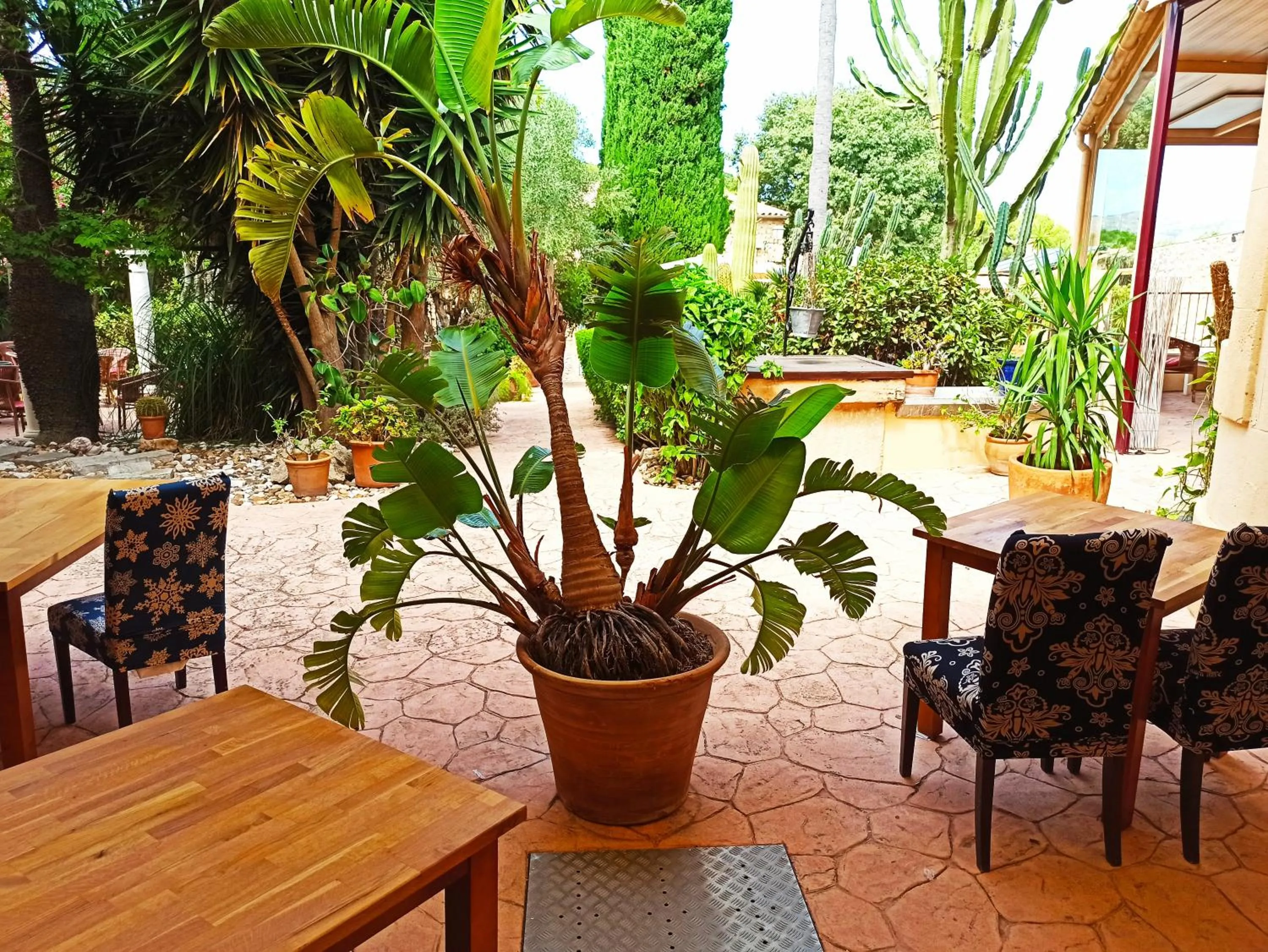 Garden in Palacio Sant Salvador