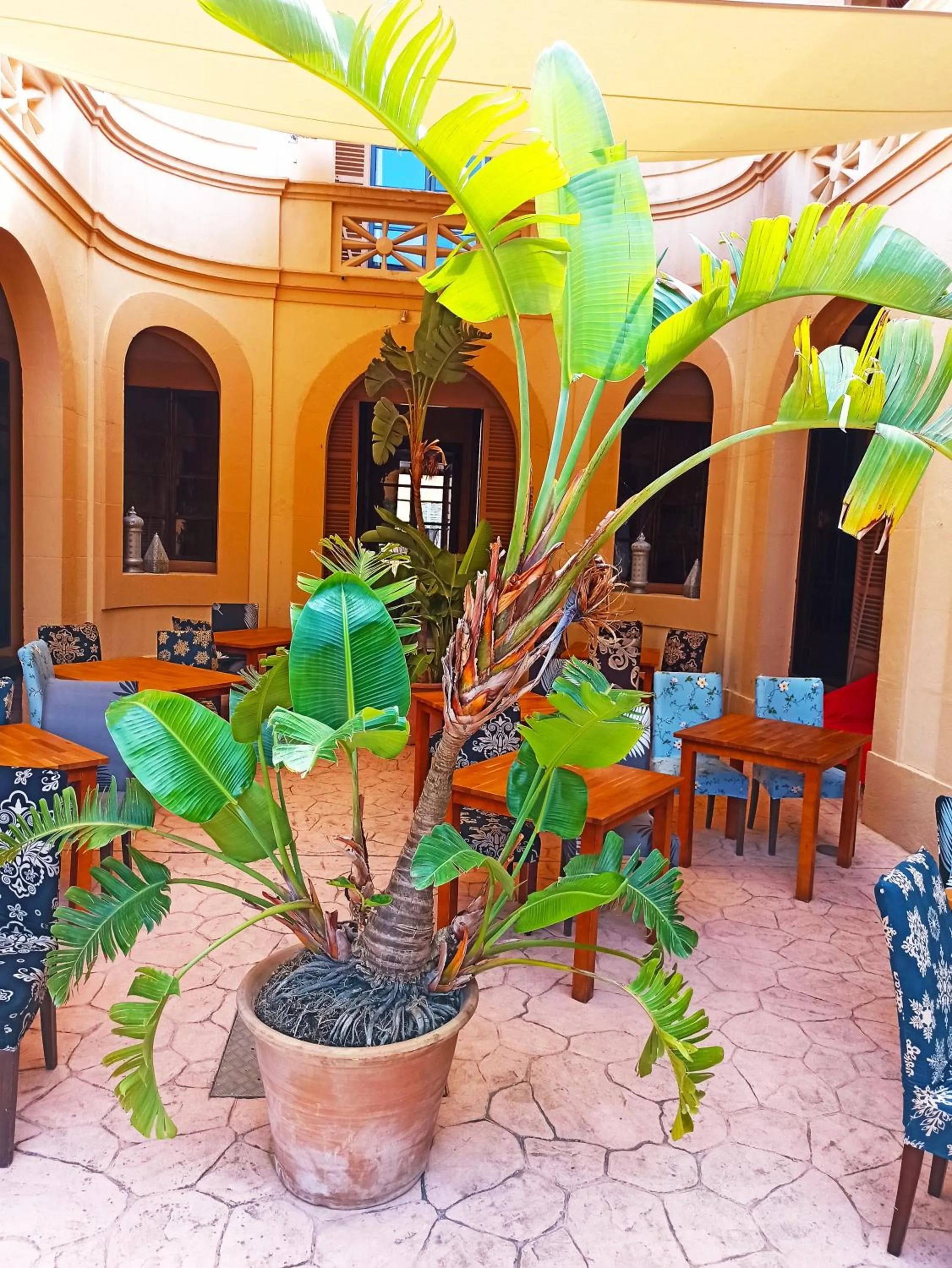 Facade/entrance in Palacio Sant Salvador