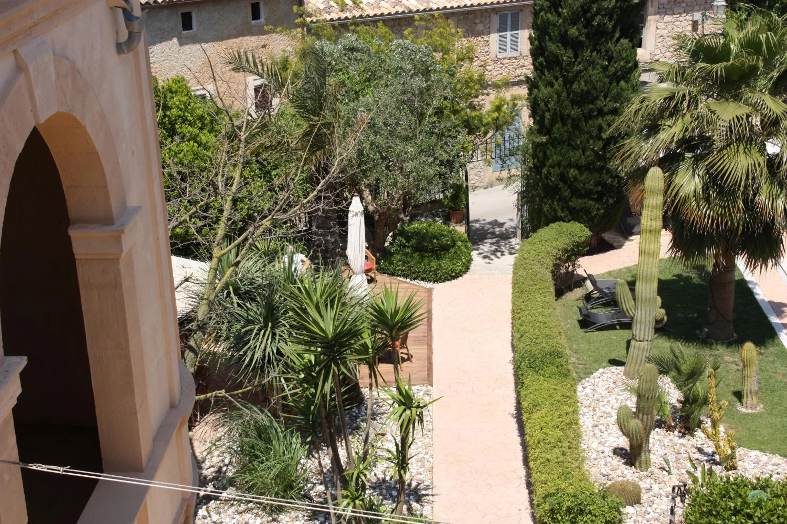 Garden in Palacio Sant Salvador