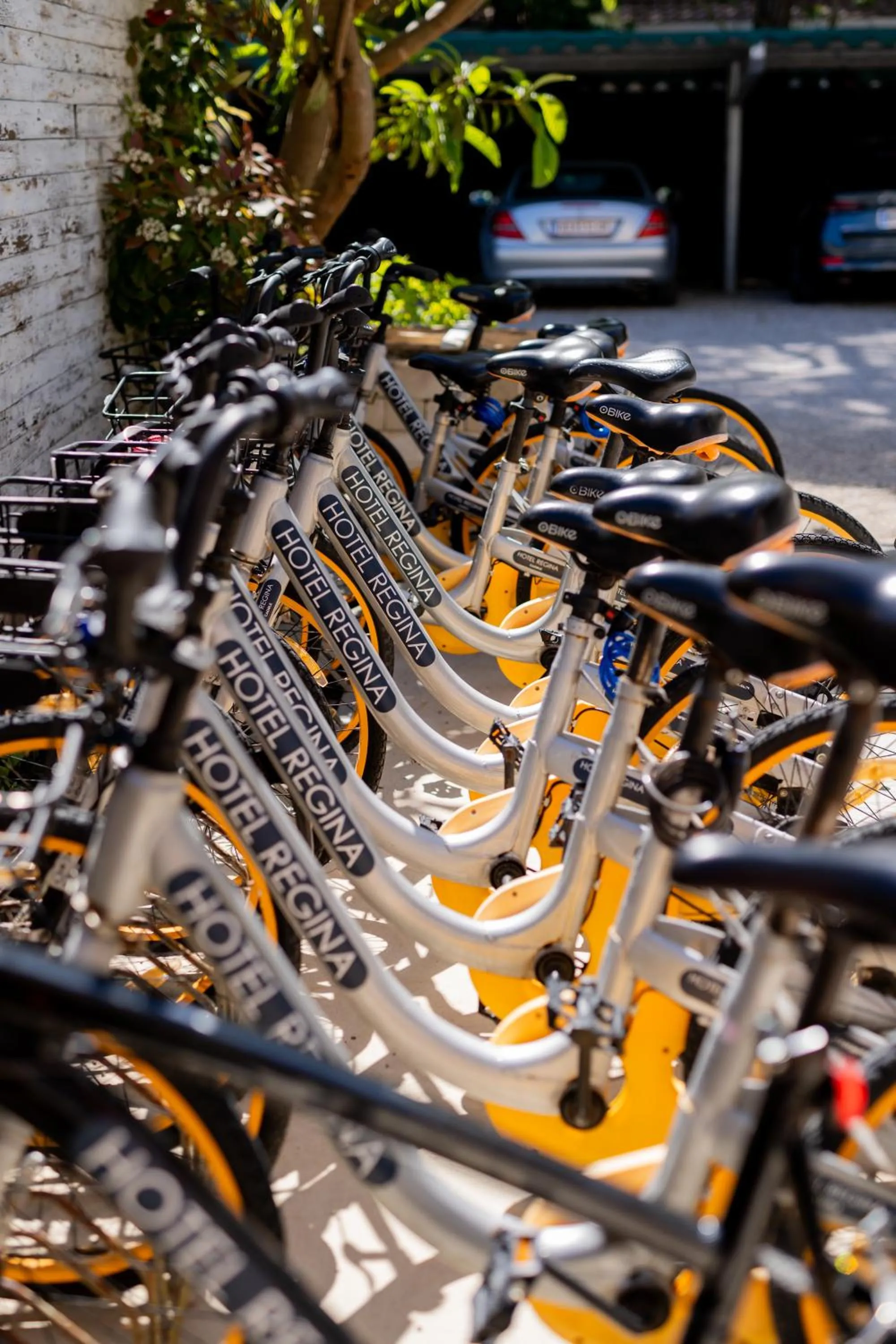 Cycling in Hotel Regina