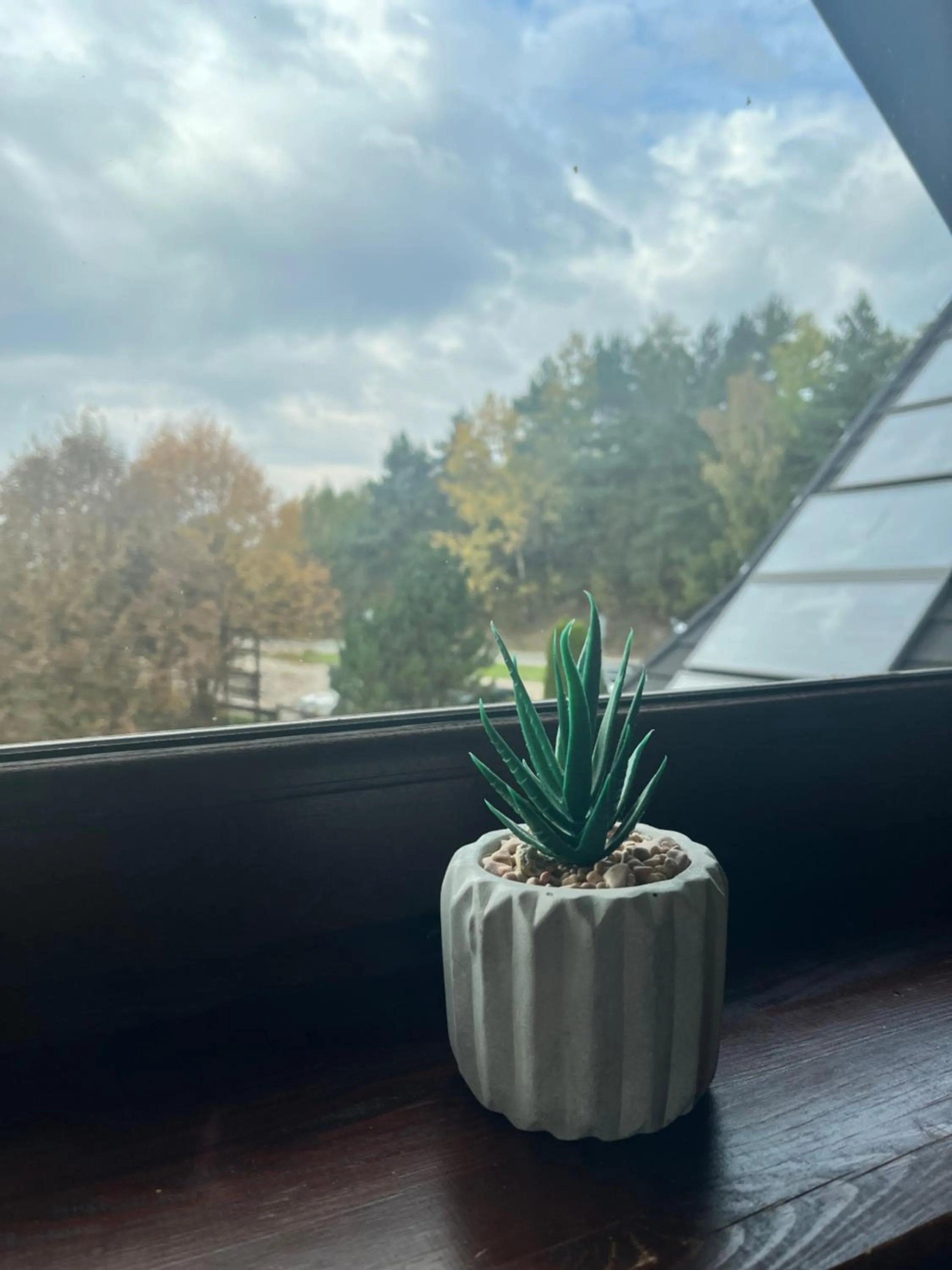 Day in Zajazd Cicha Woda