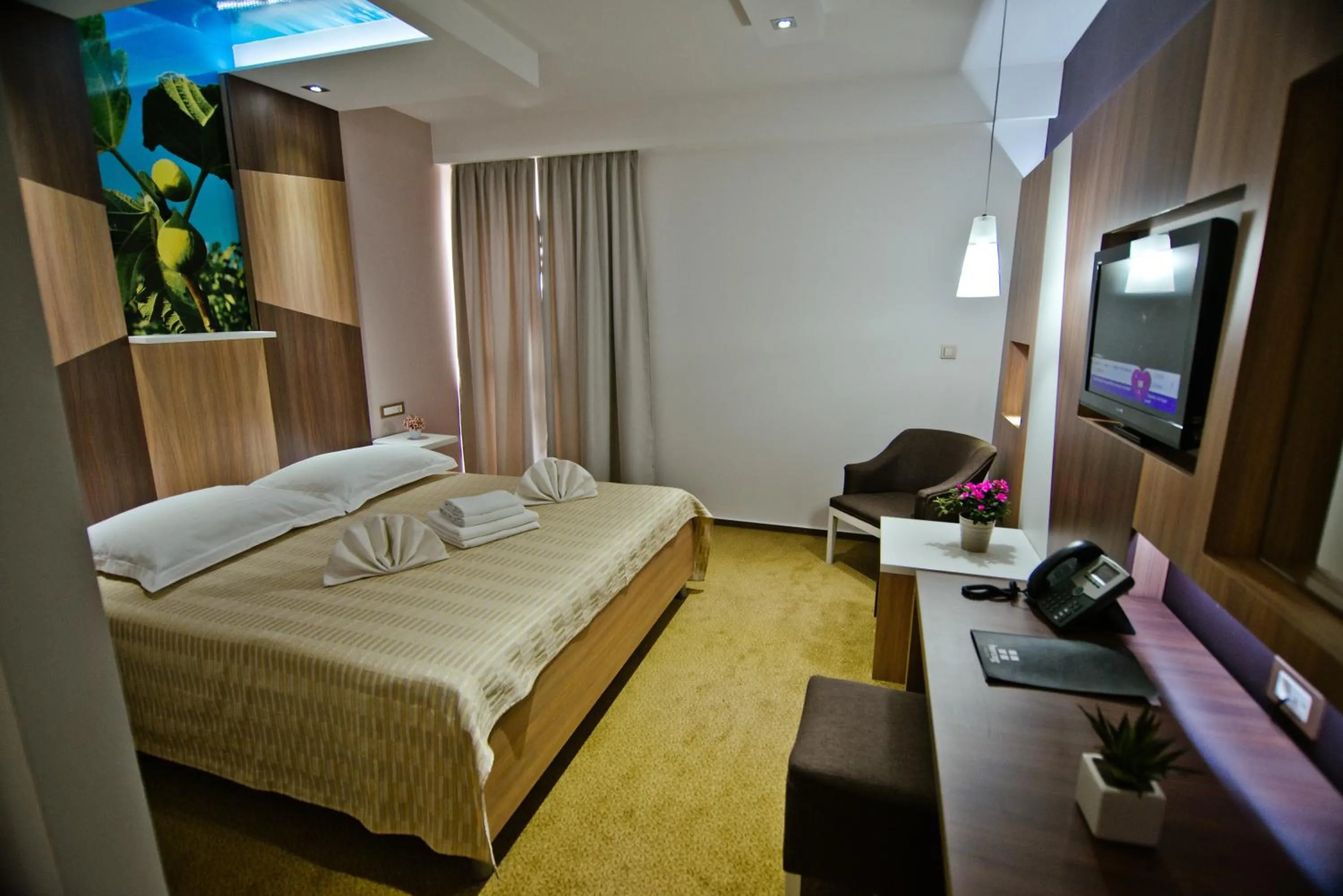 TV and multimedia, Bed in Hotel Herceg
