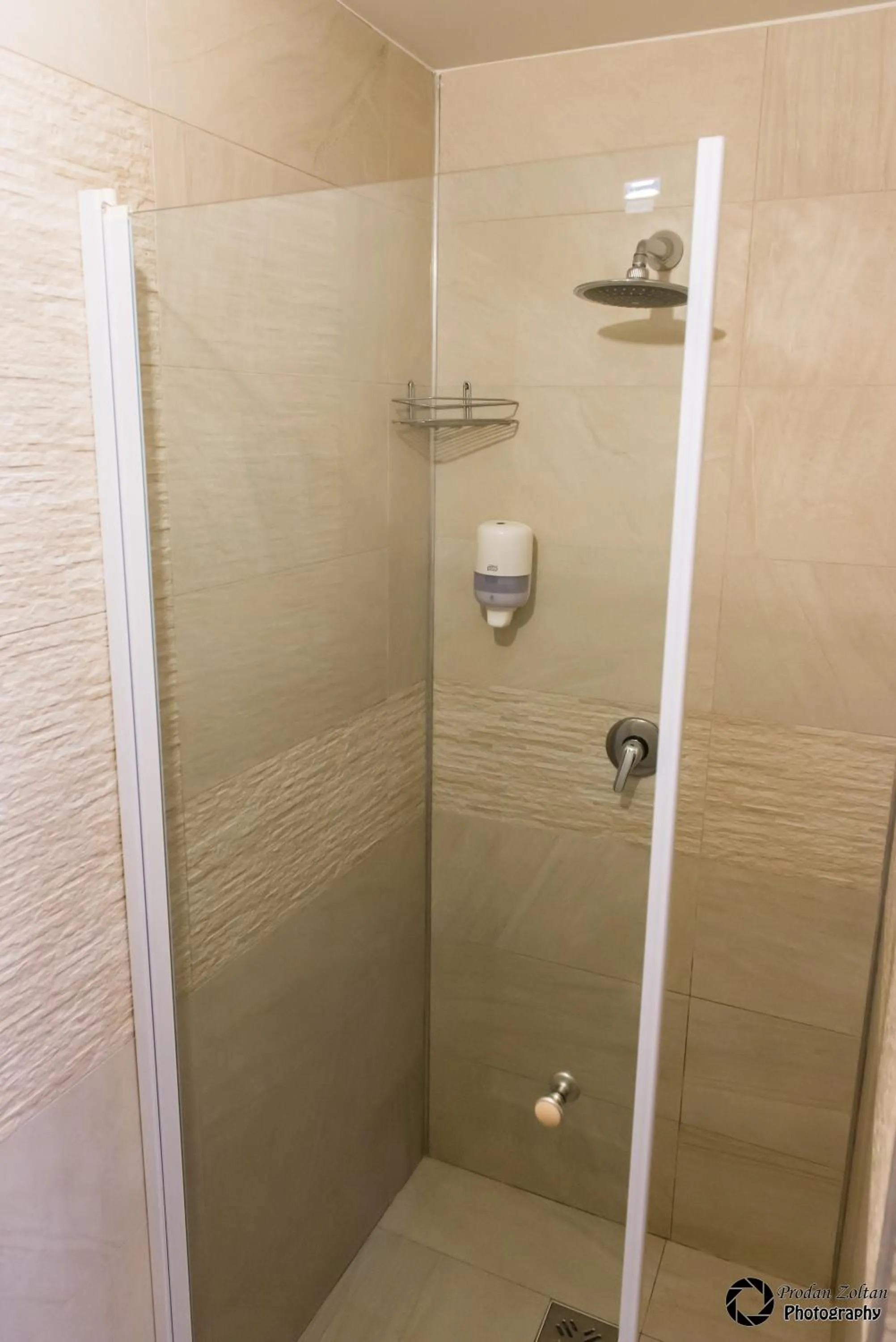 Other in Pensiunea Schwartz