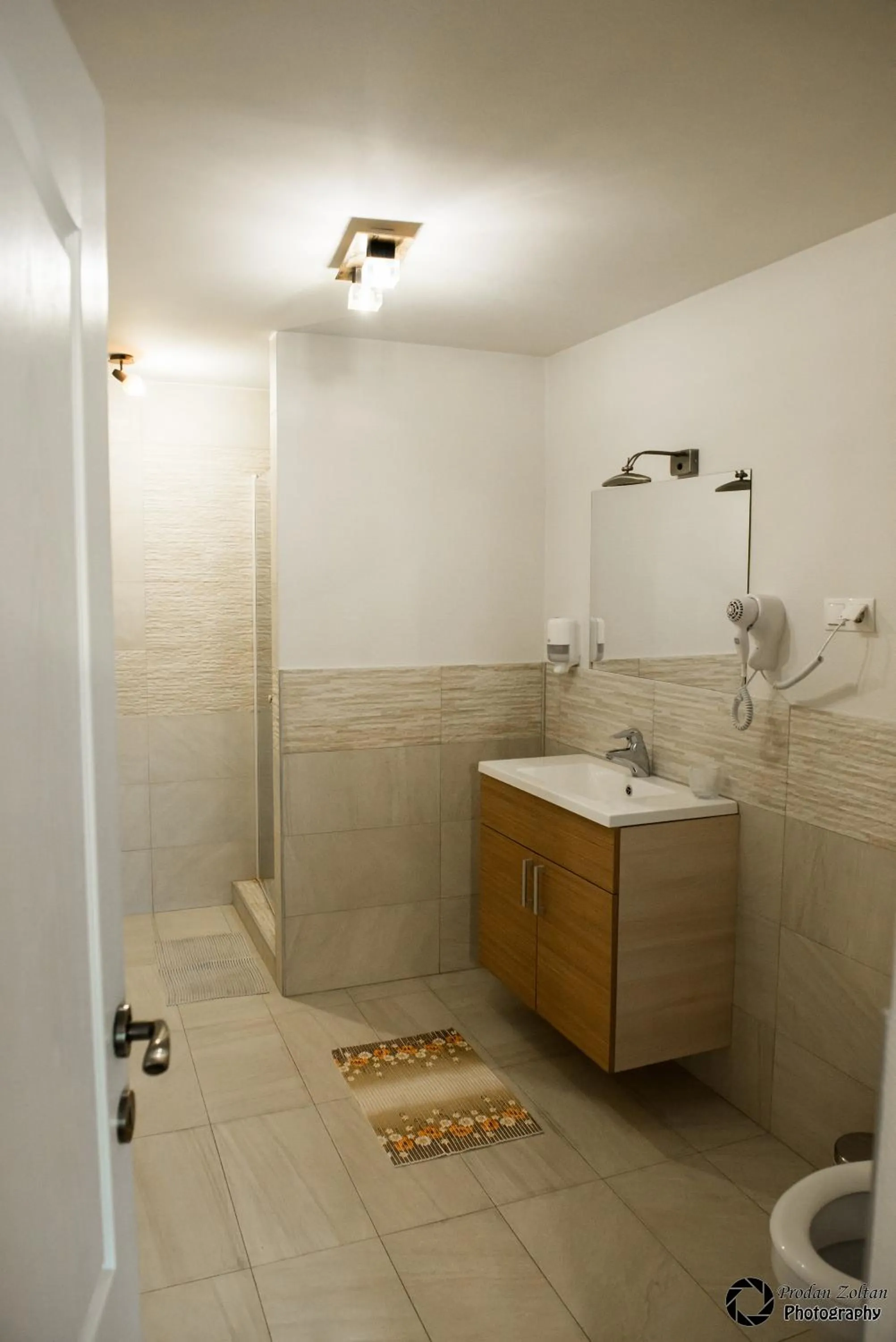 Other in Pensiunea Schwartz