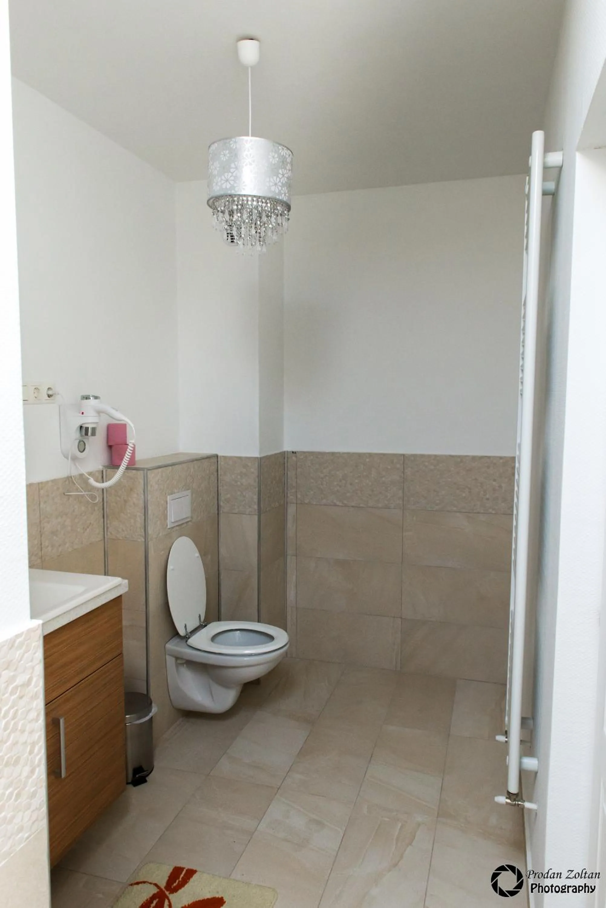 Other in Pensiunea Schwartz