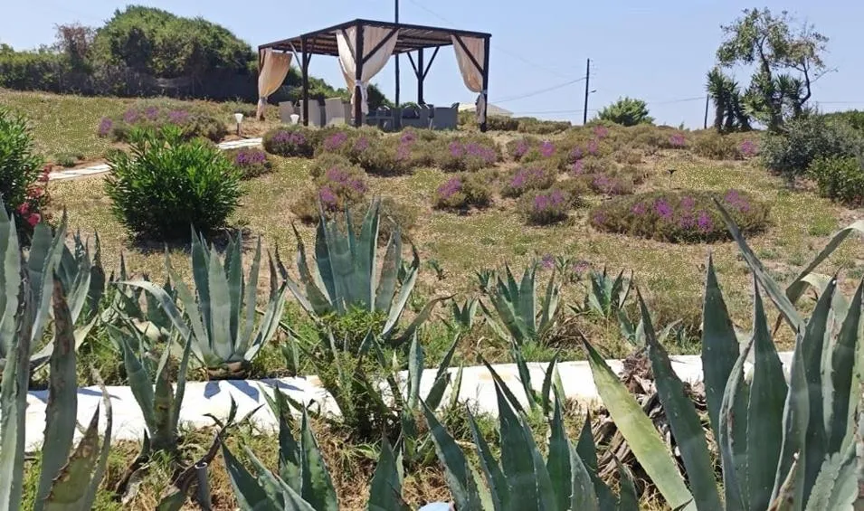 Elli Beach Apartments and Studios