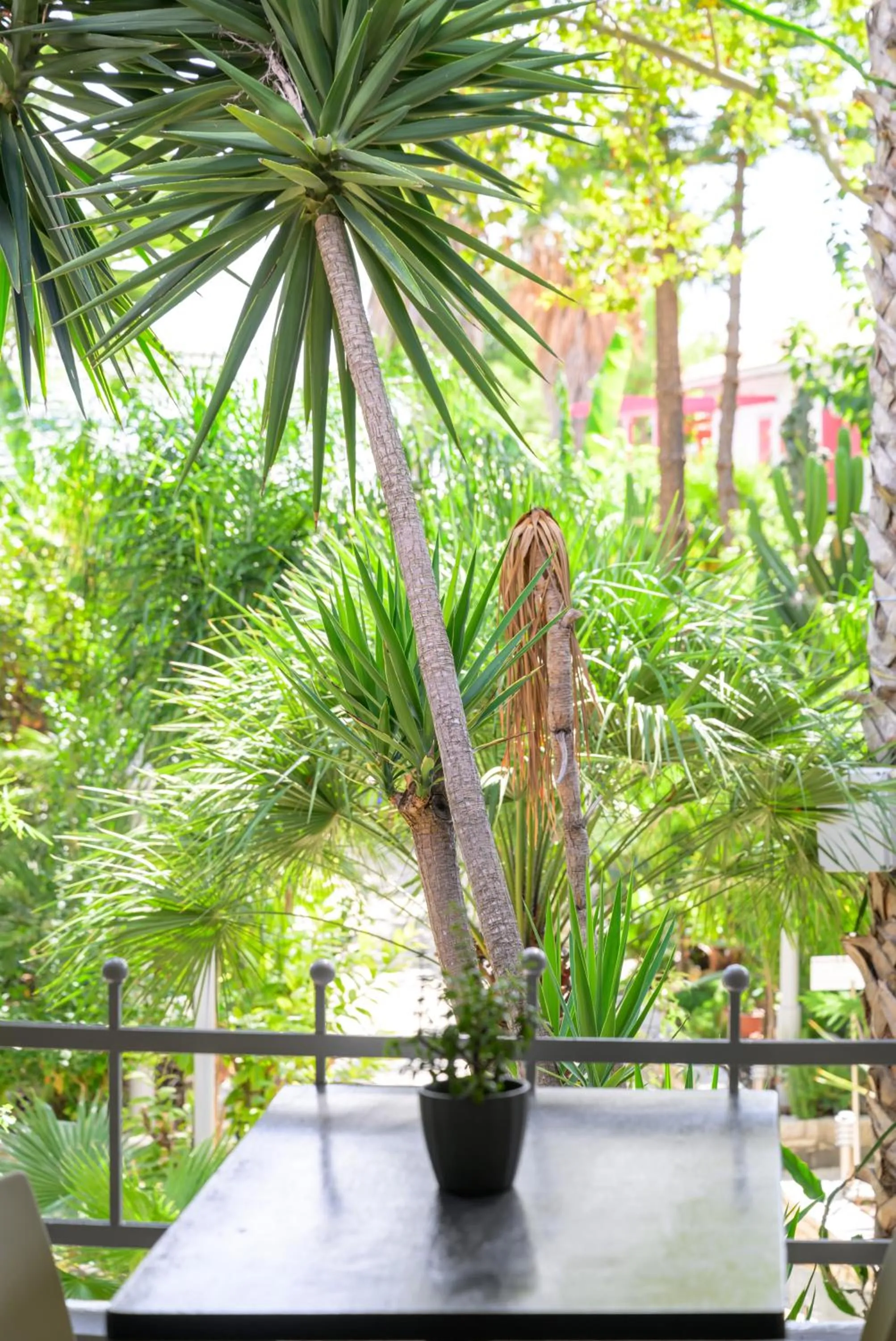 Rouda Bay Beach Hotel