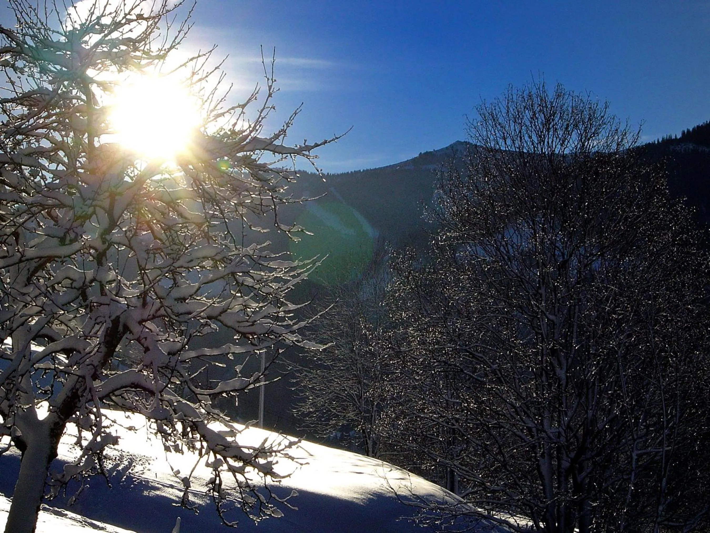 View (from property/room) in Landhuis Bartolot