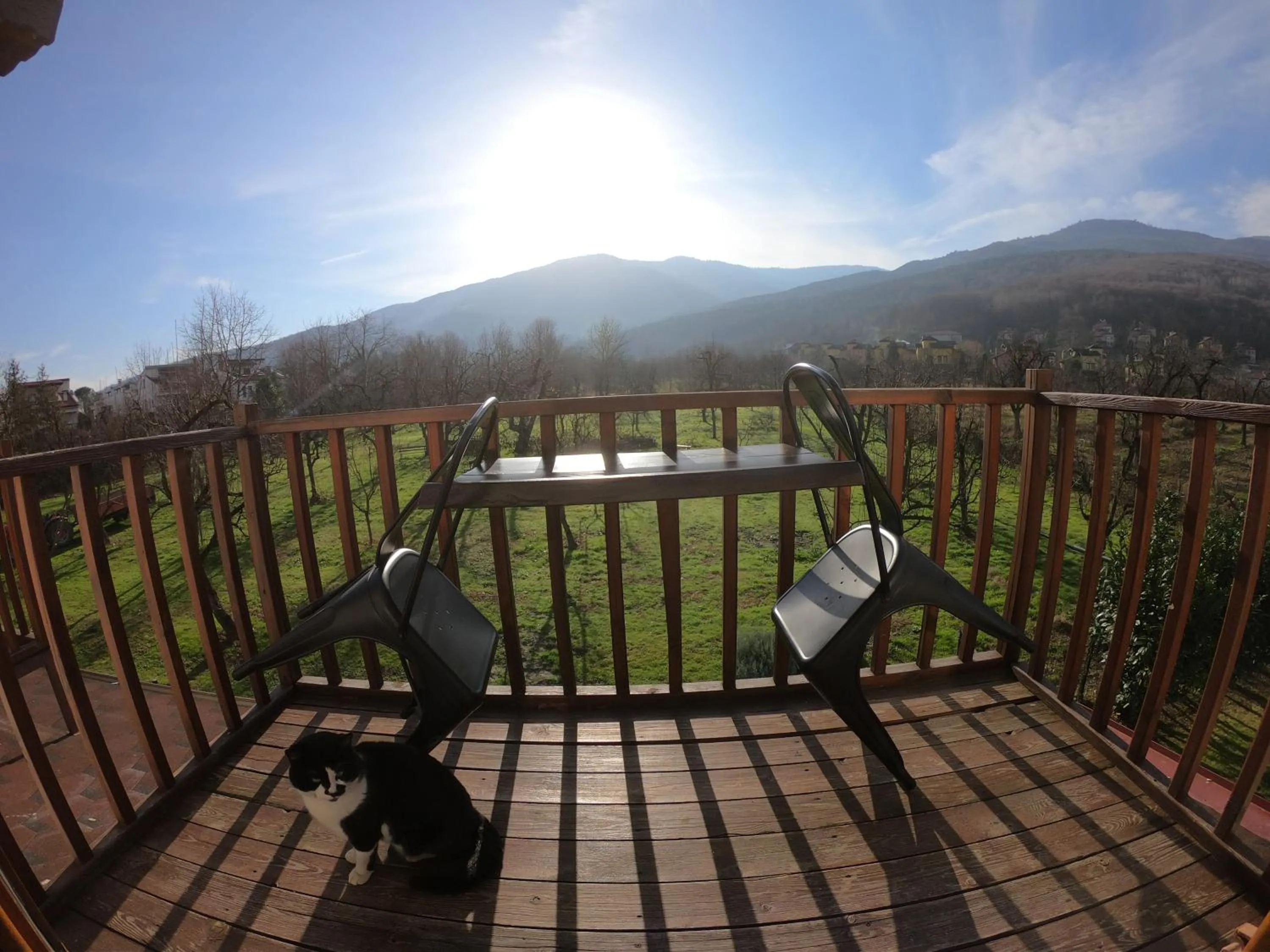 Balcony/Terrace in Cevizdibi Hotel