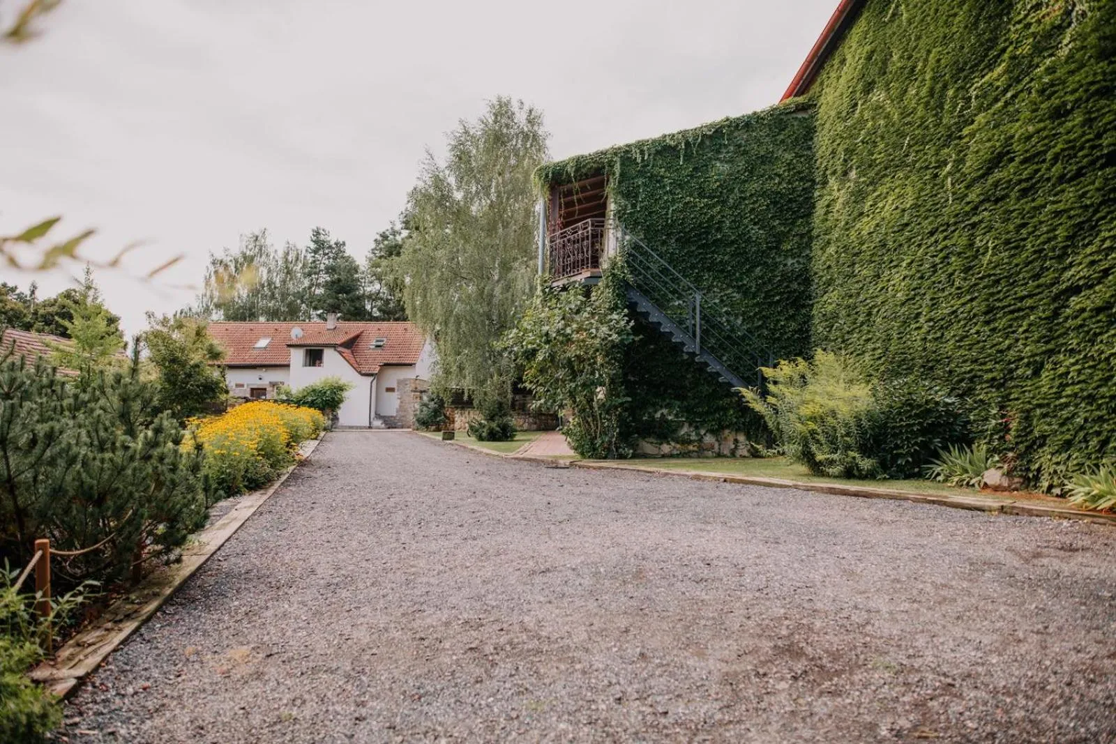 Garden in Hotel Lony