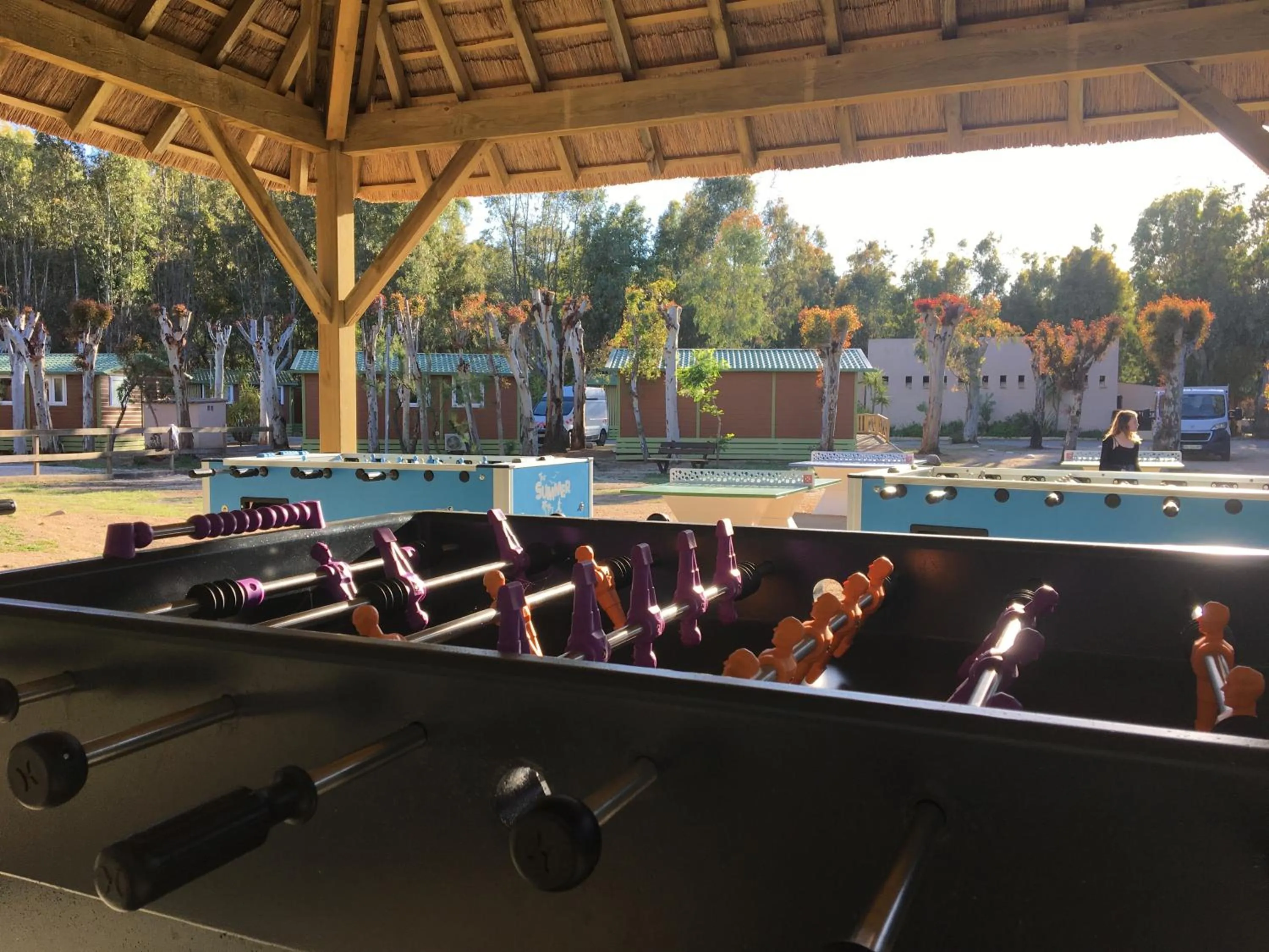 Activities in Camping La Pinède