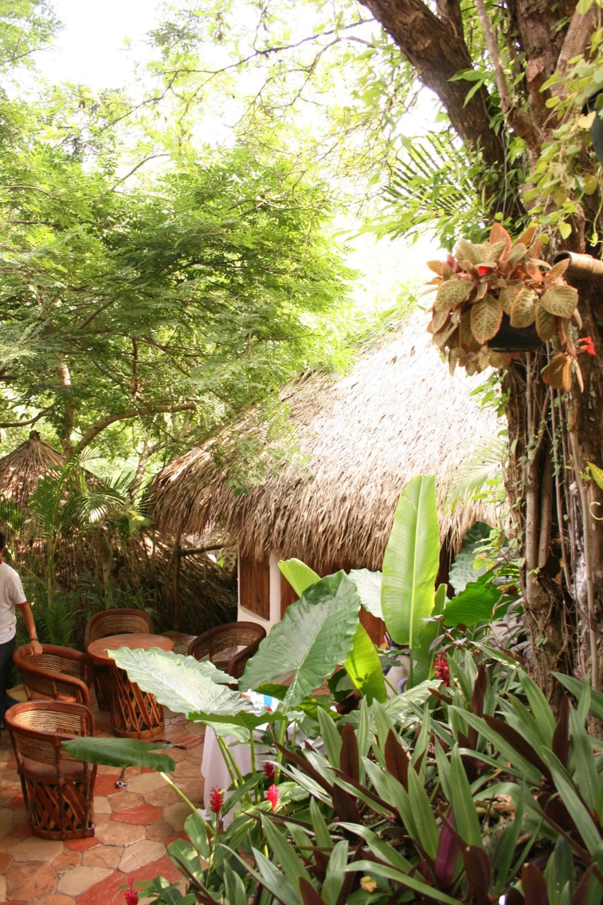 Area and facilities in Cabañas Biuzaa