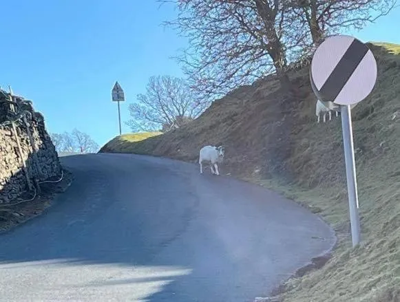 Day in The Bridge Inn