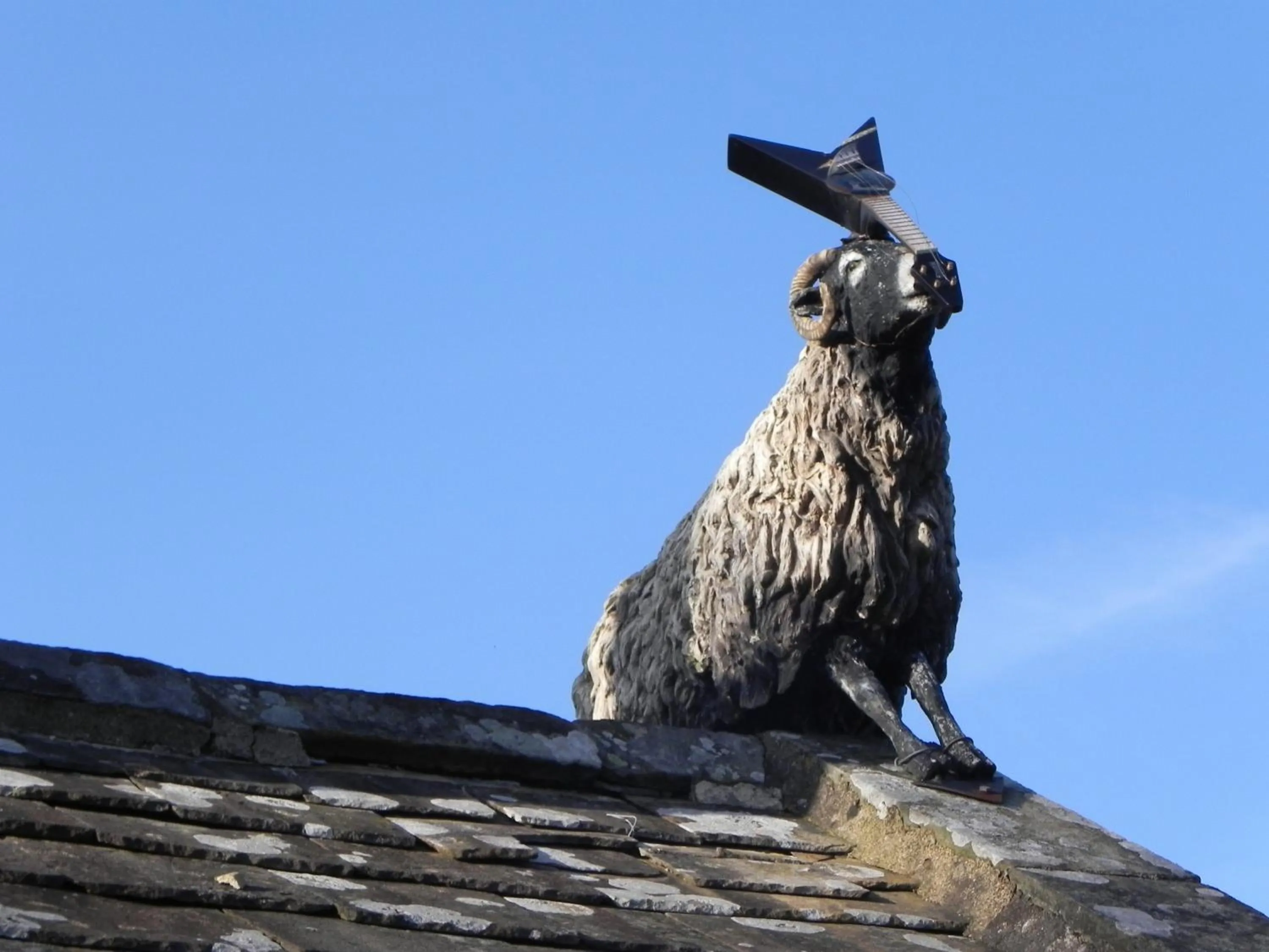 Animals in The Bridge Inn