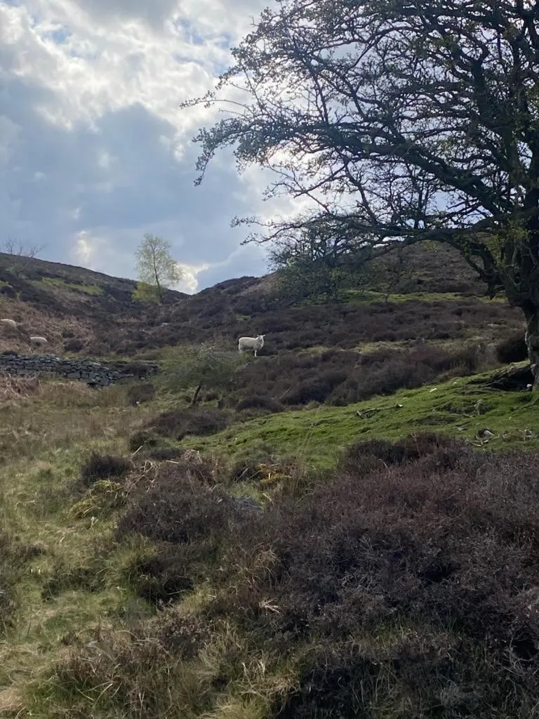 Spring in The Bridge Inn