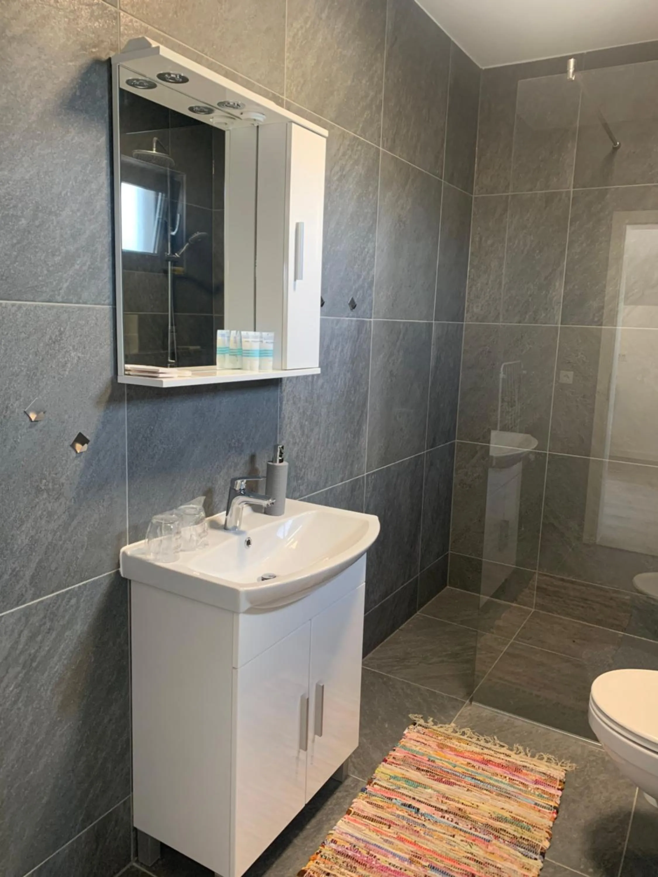 Toilet in Filipovic rent a car & apartments