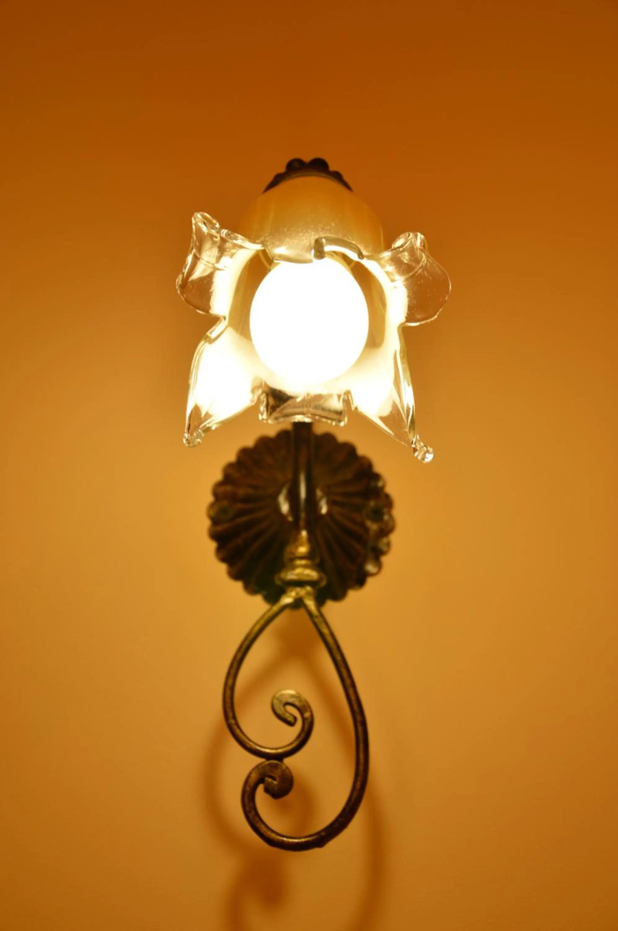 Decorative detail in Attinia