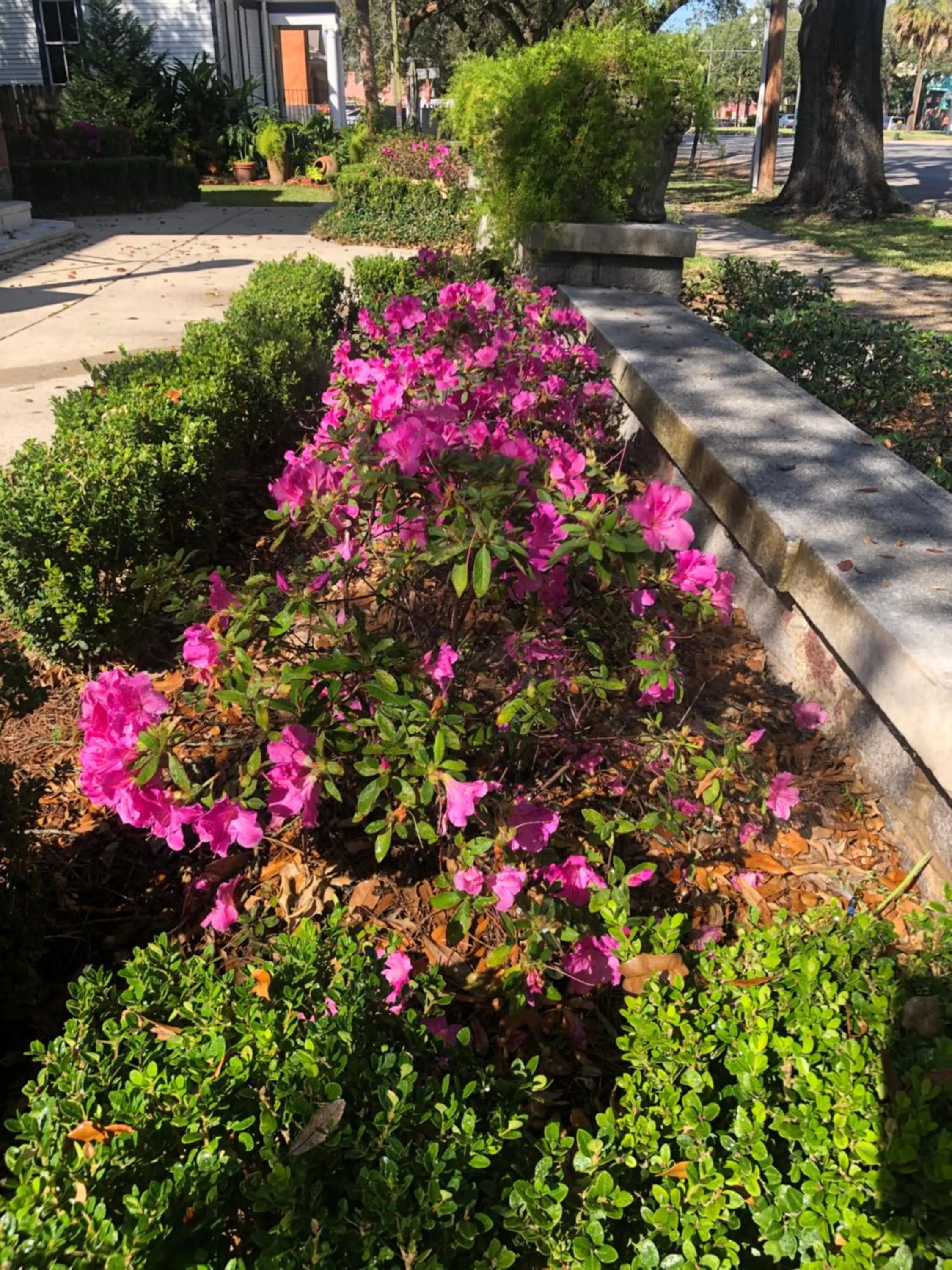 Garden in Canal Street Inn