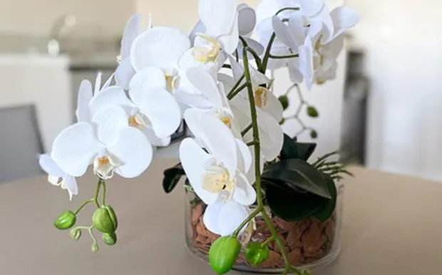 Decorative detail in Letto Hotel Flores da Cunha