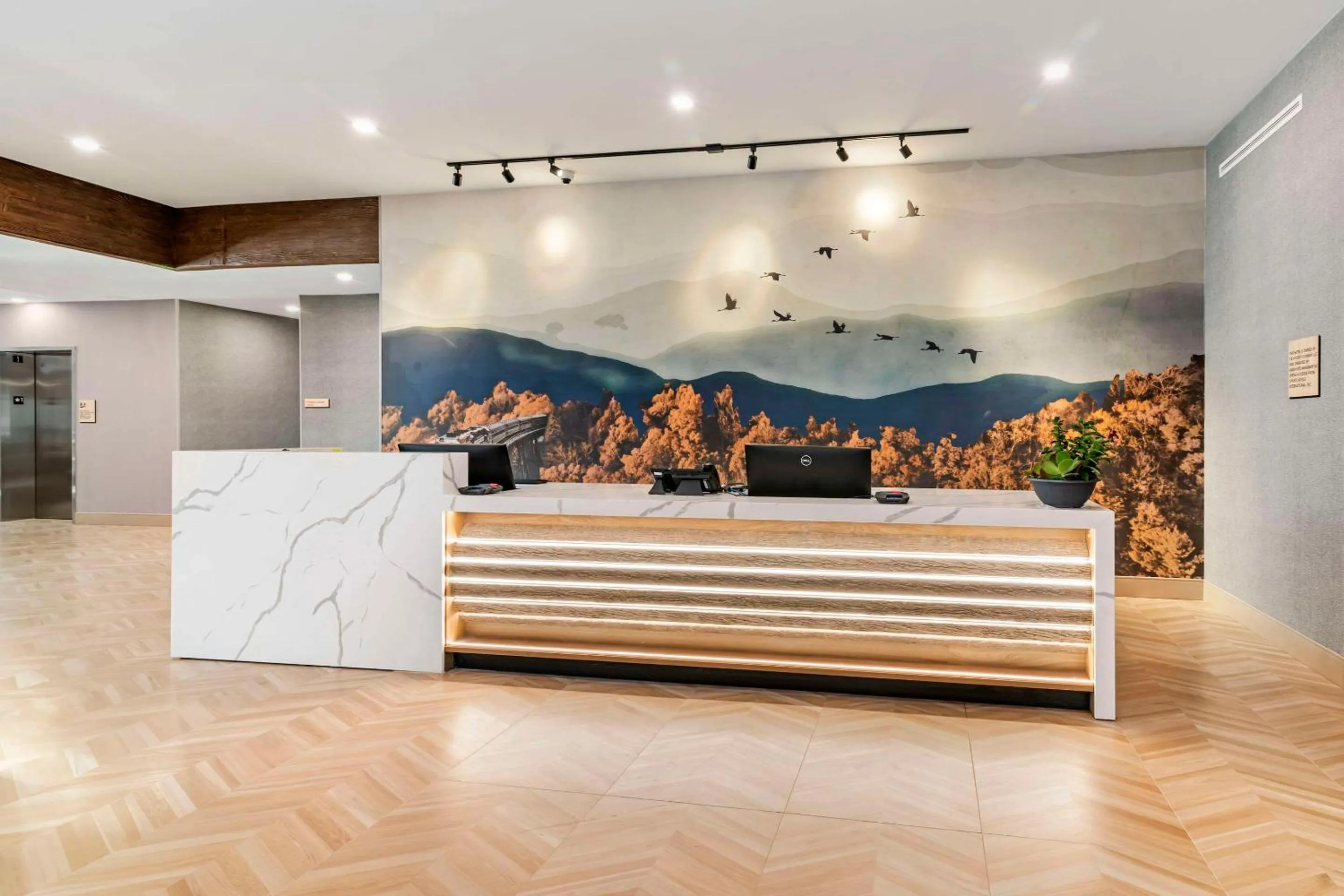 Lobby or reception in Cambria Hotel North Conway