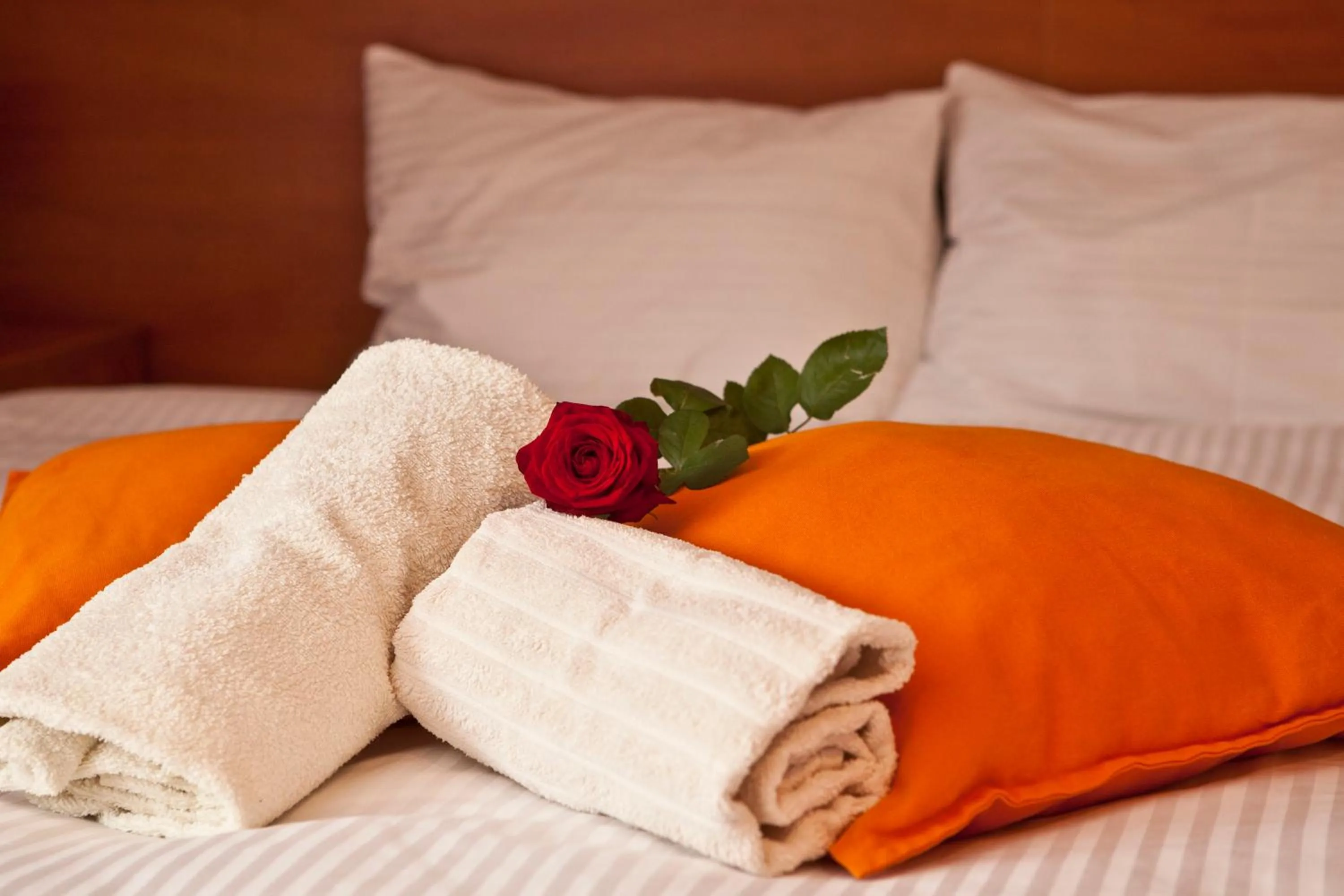 Photo of the whole room, Bed in Kaszuby Resort Zacisze