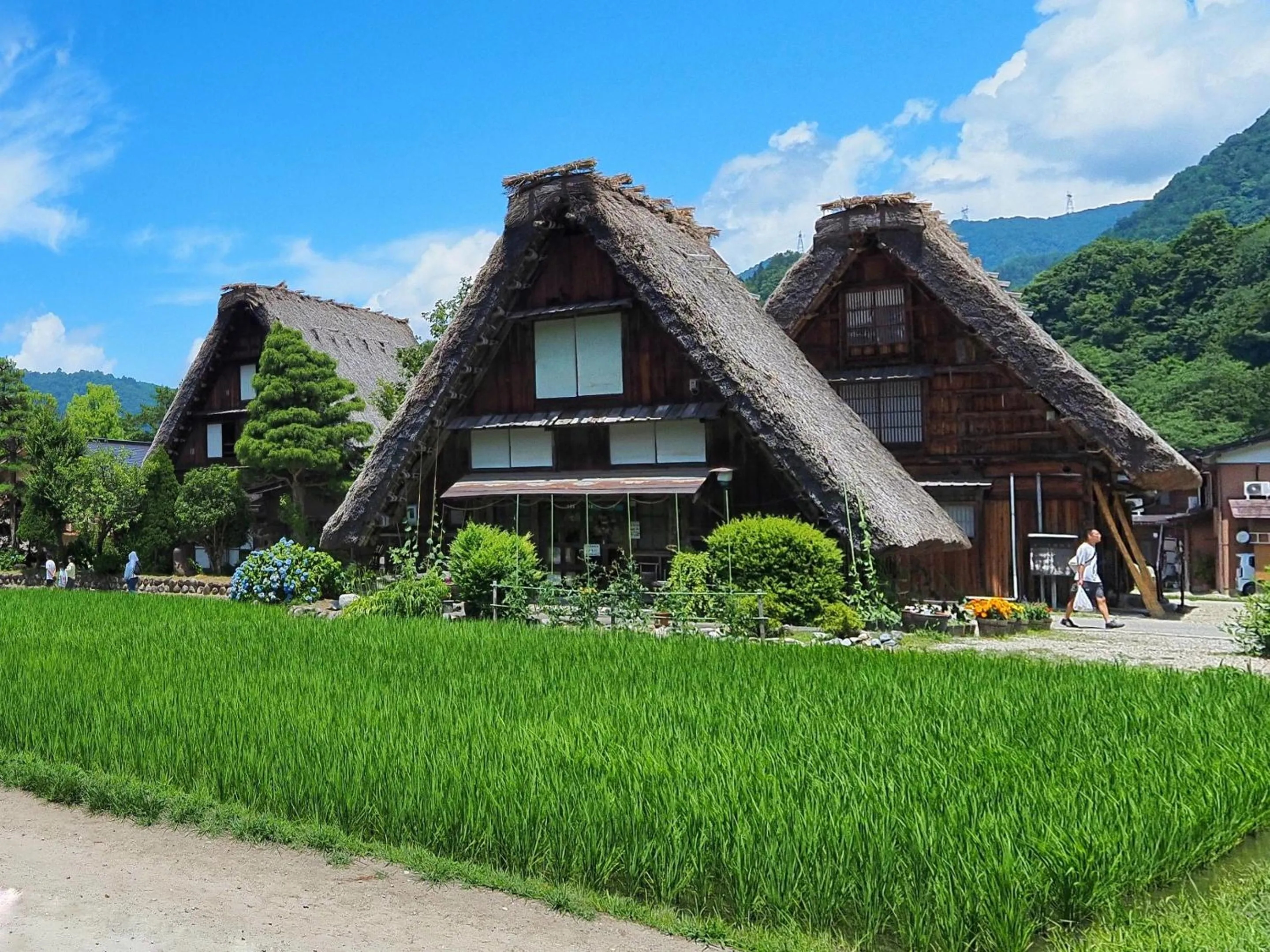 Nearby landmark in Hotel Hana
