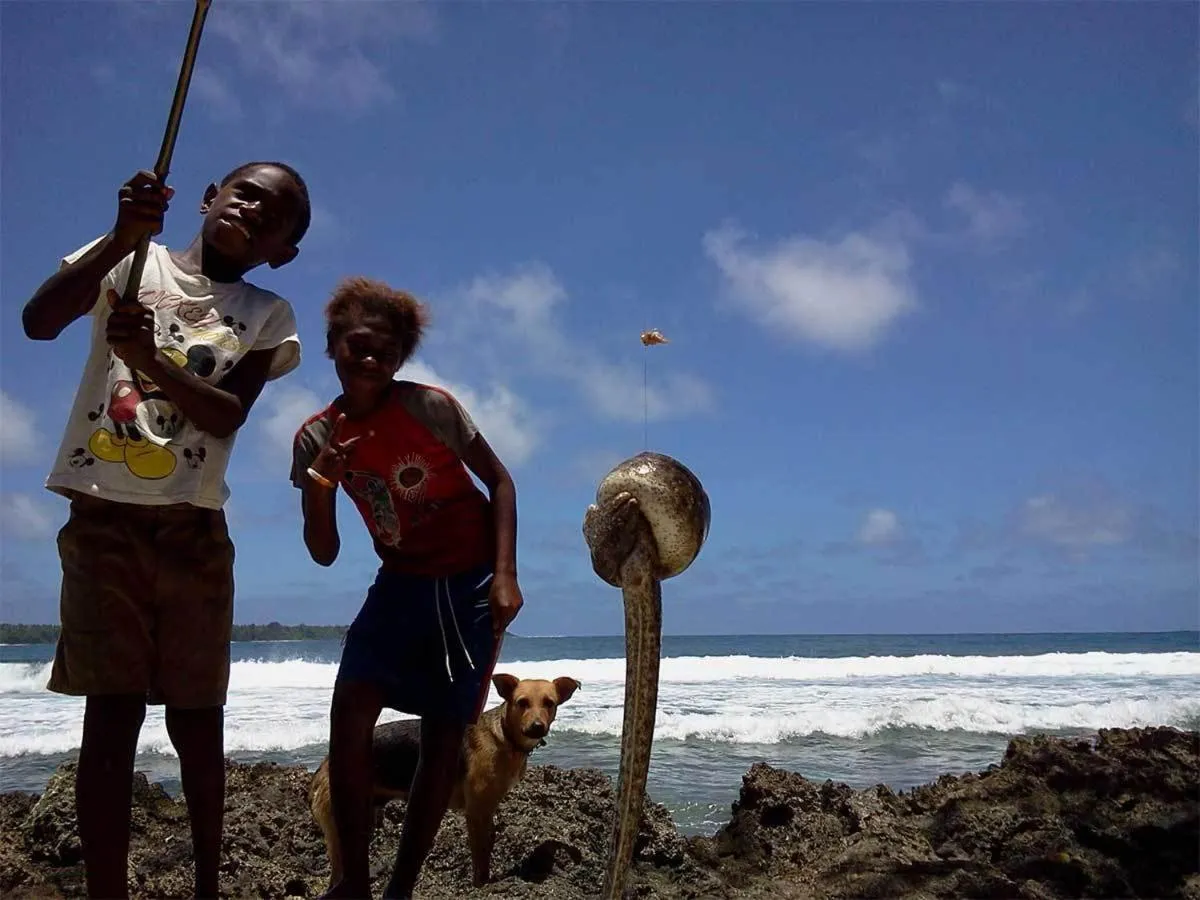 Day in Bluepango Guest House