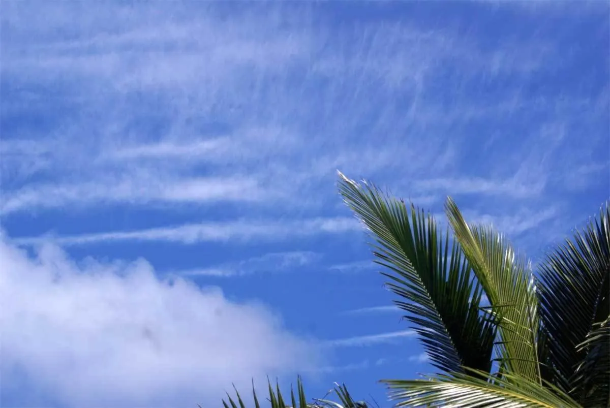 Day in Bluepango Guest House