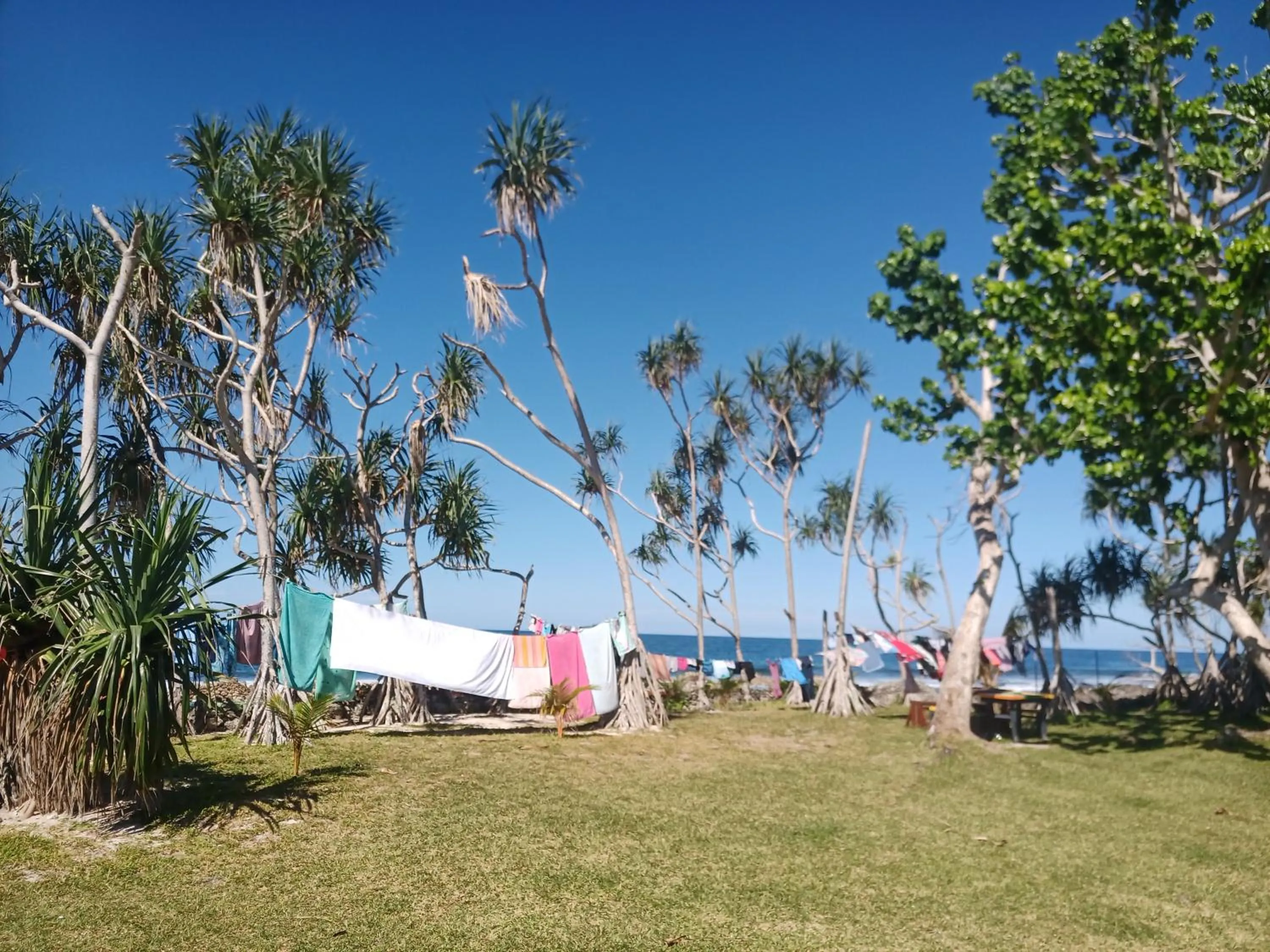 Bluepango Guest House