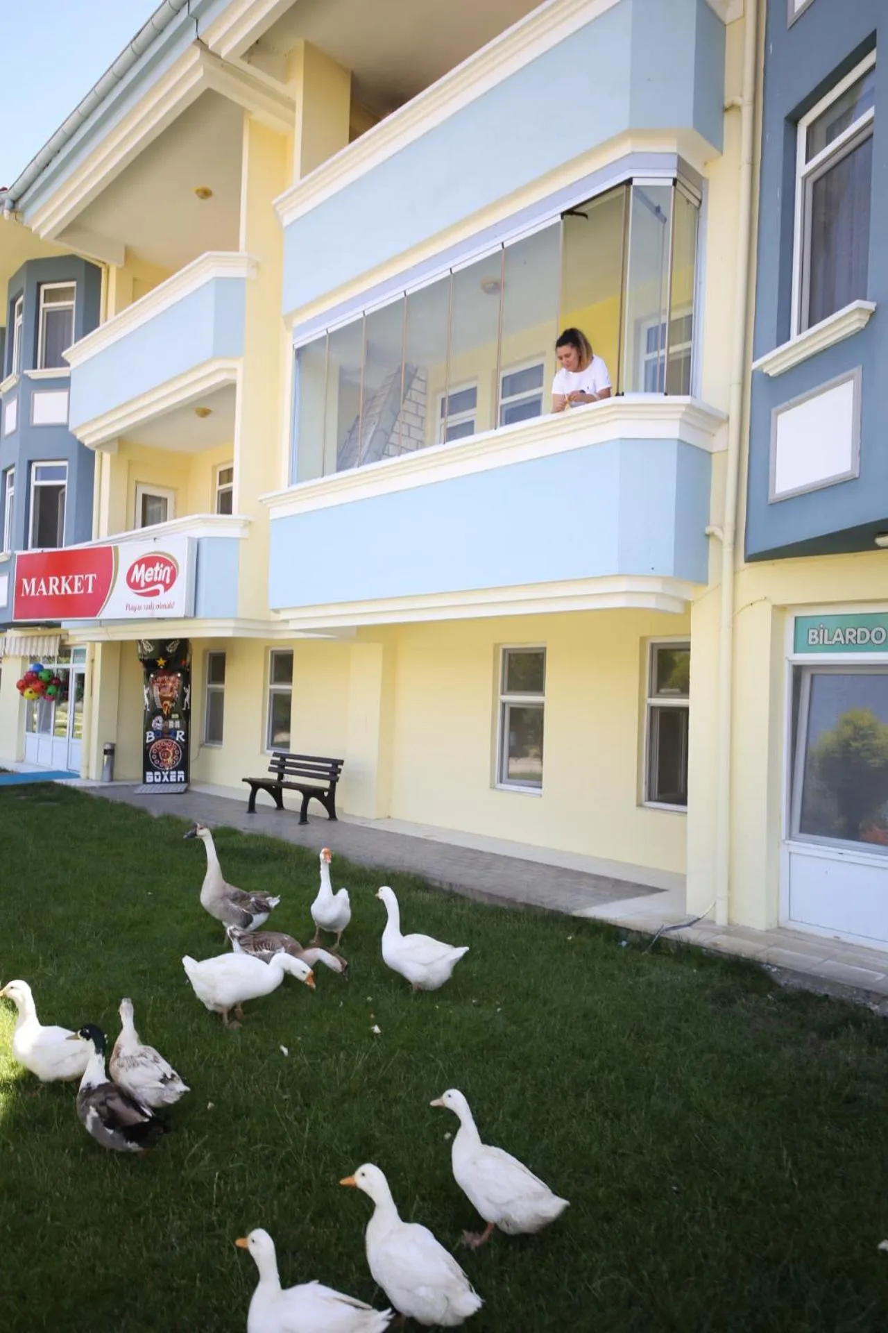 Animals in Basaranlar Thermal Otel