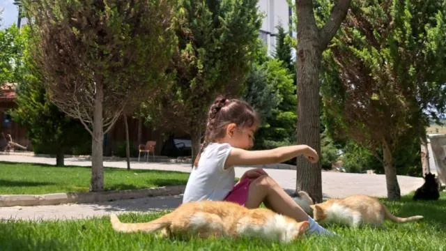 Spring in Basaranlar Thermal Otel