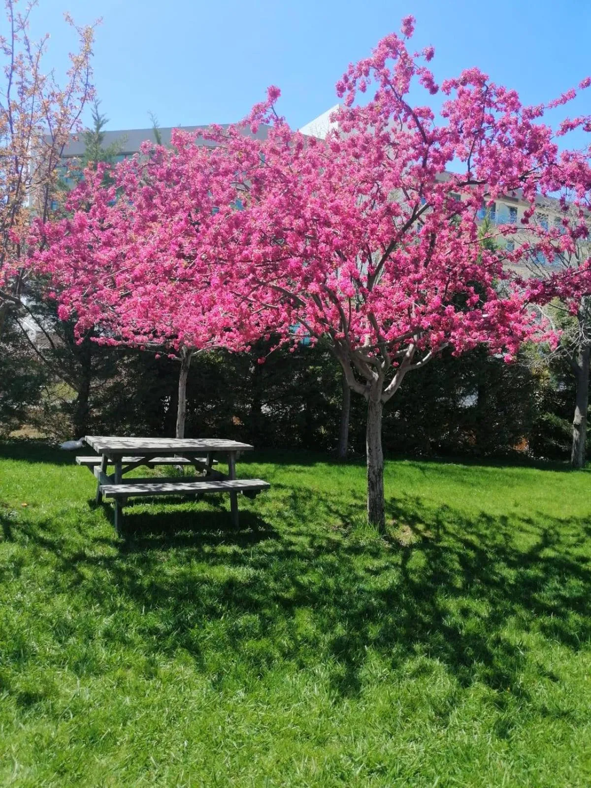 View (from property/room) in Basaranlar Thermal Otel