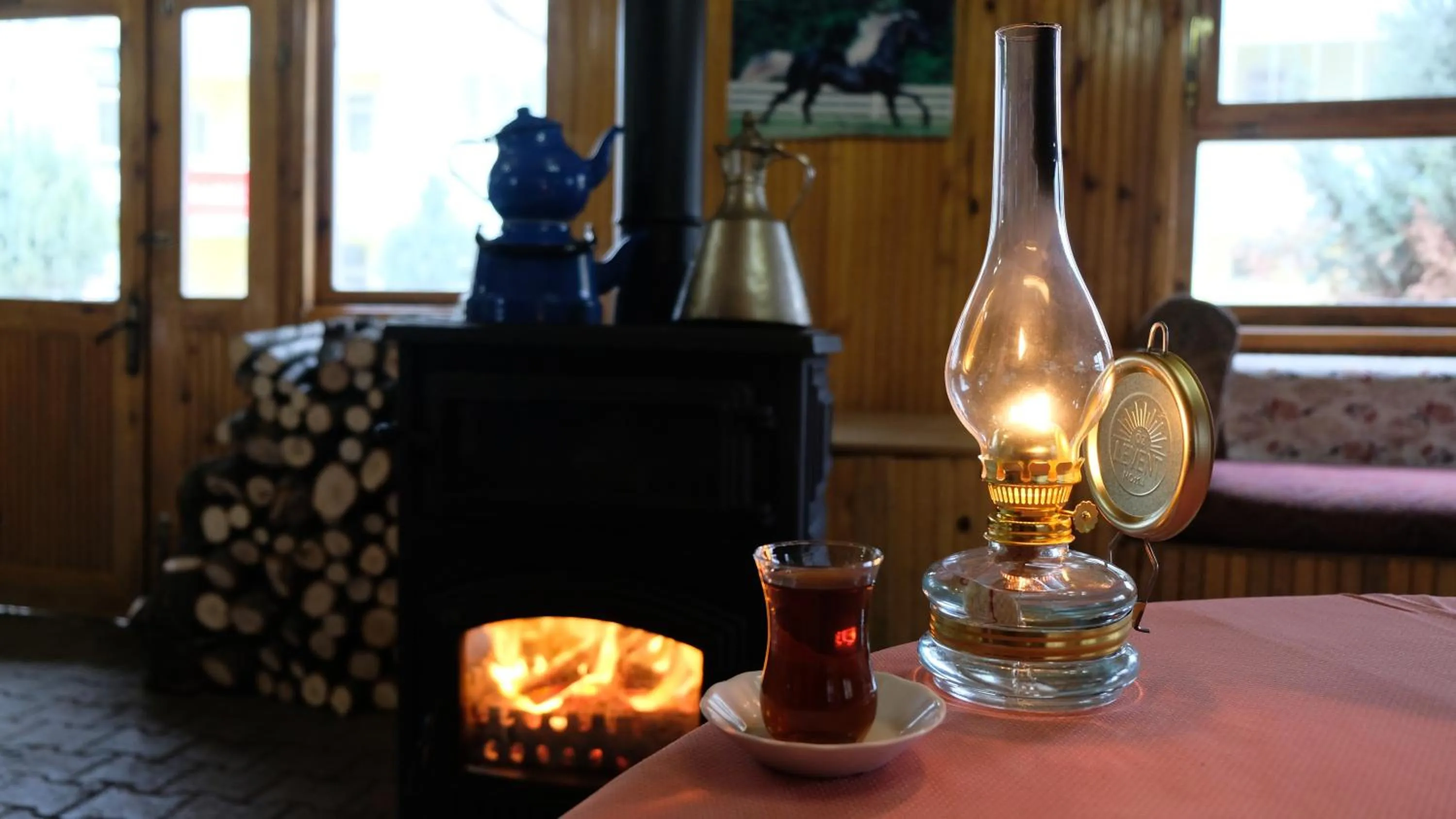 Banquet/Function facilities in Basaranlar Thermal Otel