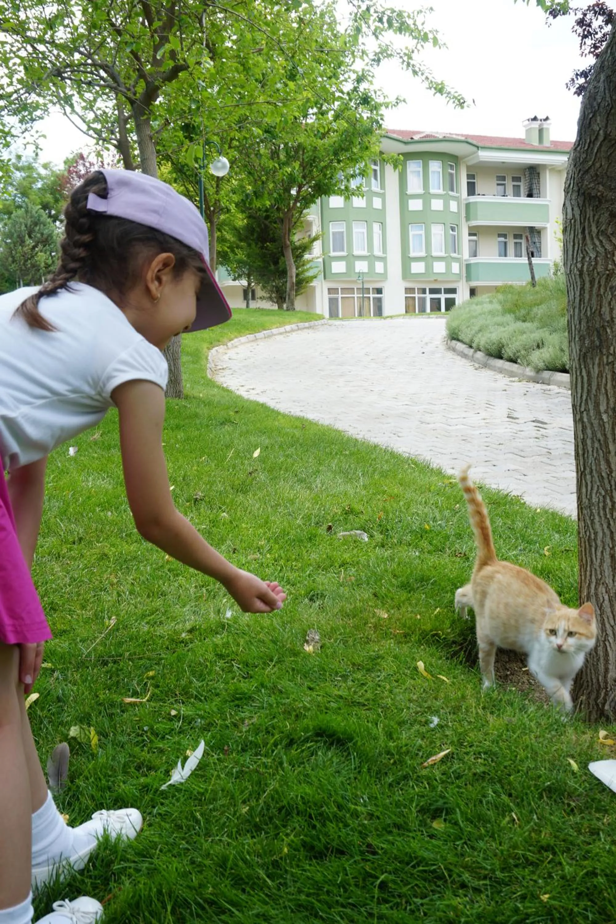 Spring in Basaranlar Thermal Otel