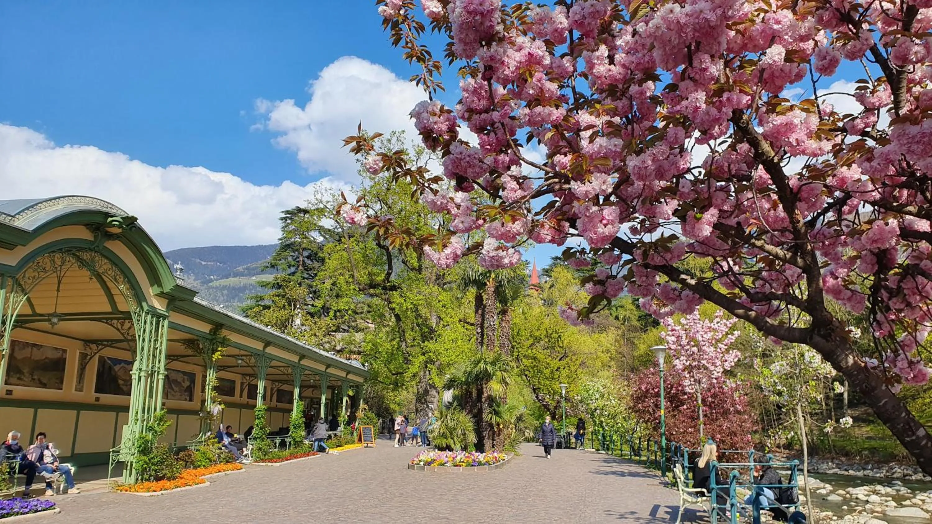 Natural landscape in Residence Diana