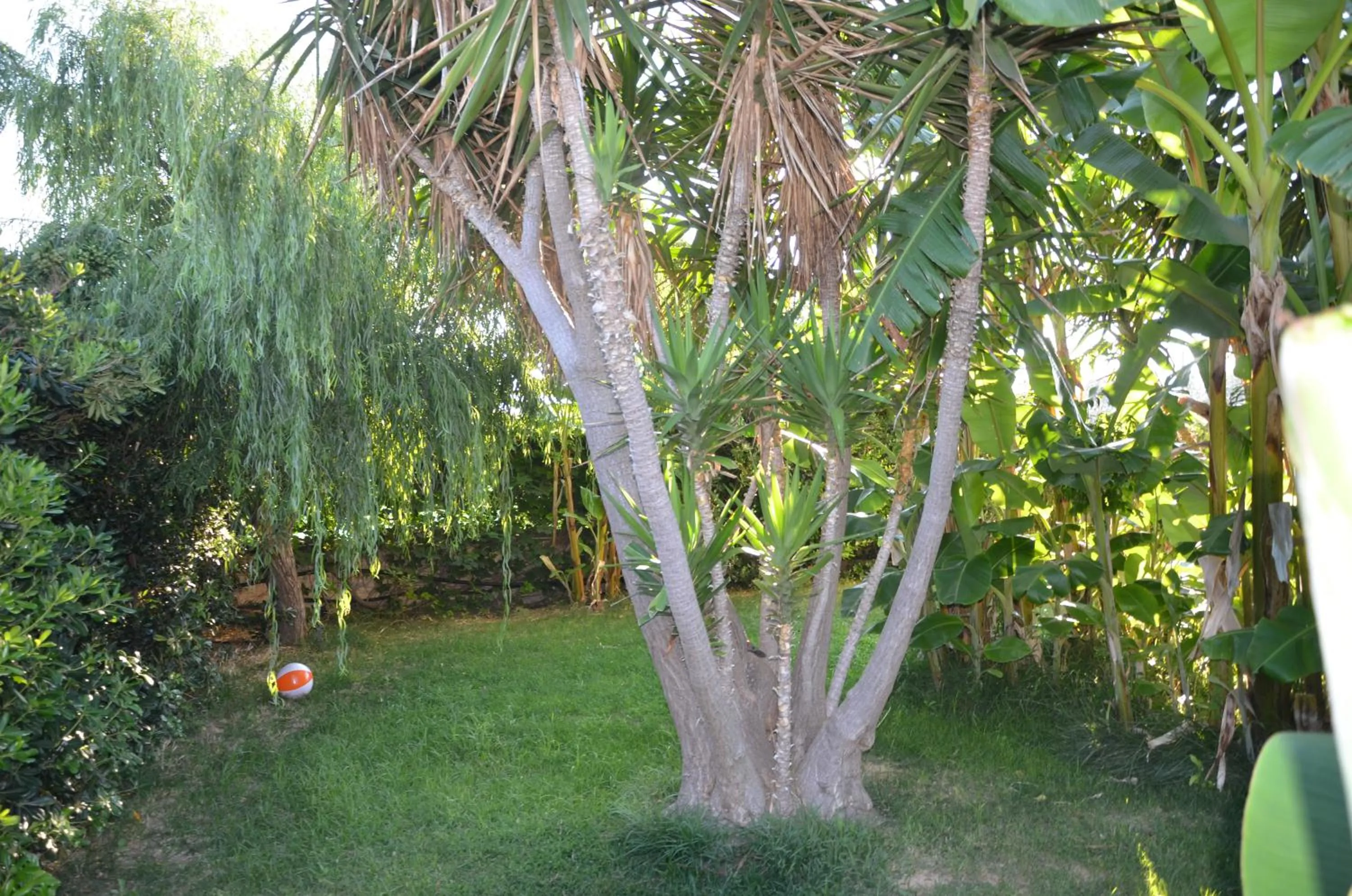 Garden in Thalassa Apartments