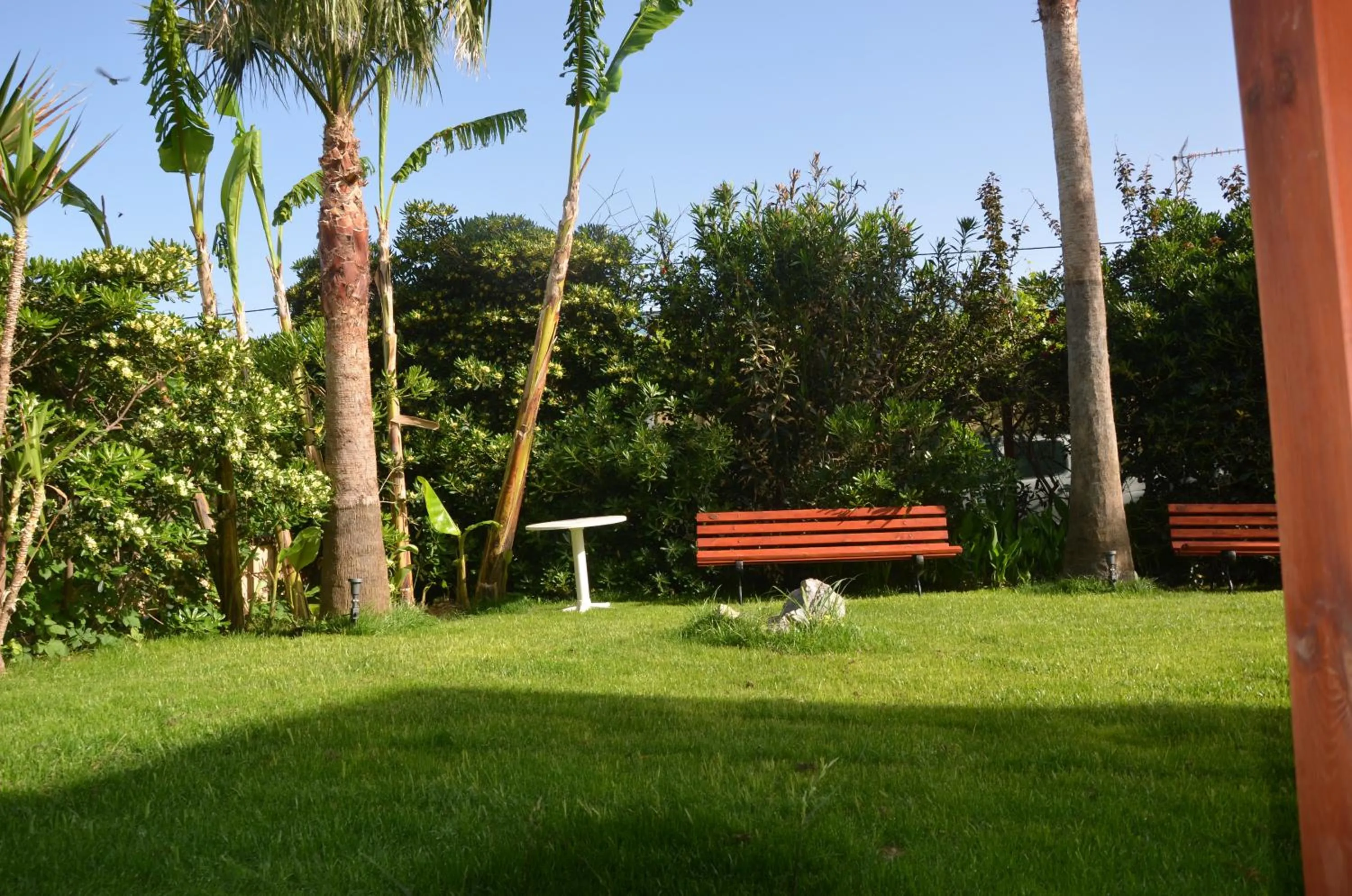 Garden in Thalassa Apartments