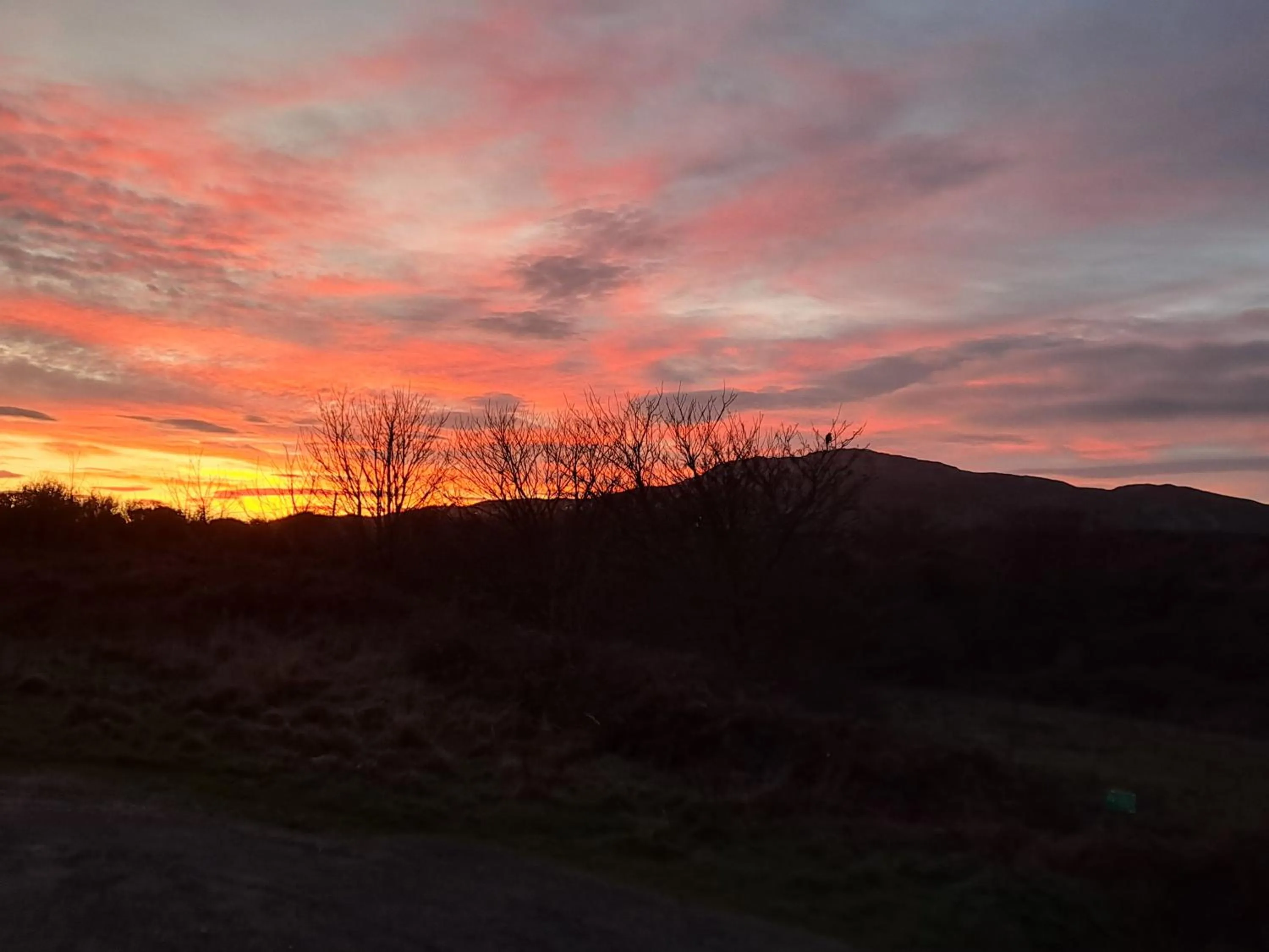 Natural landscape in Boathouse Hotel