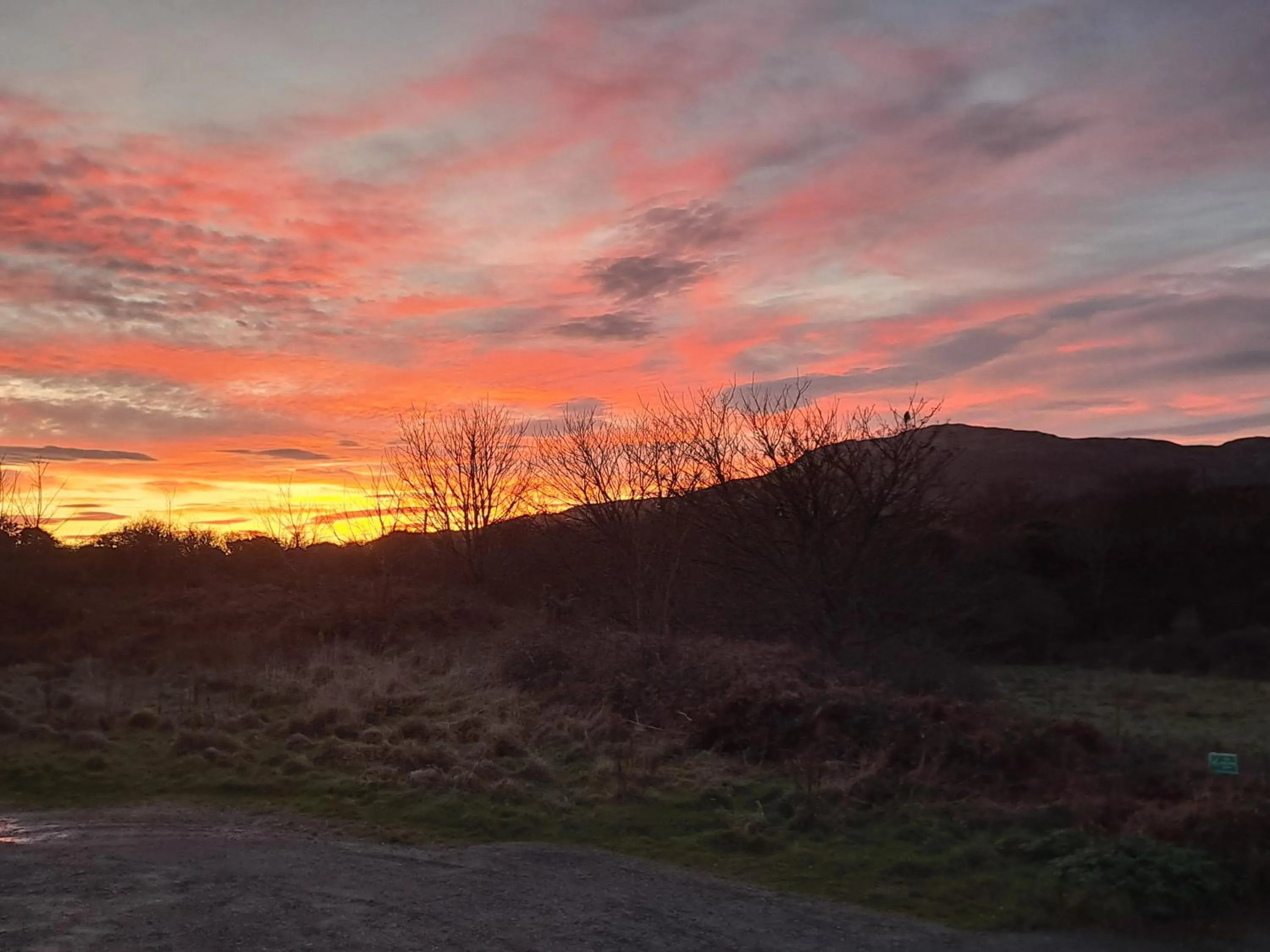 Natural landscape in Boathouse Hotel