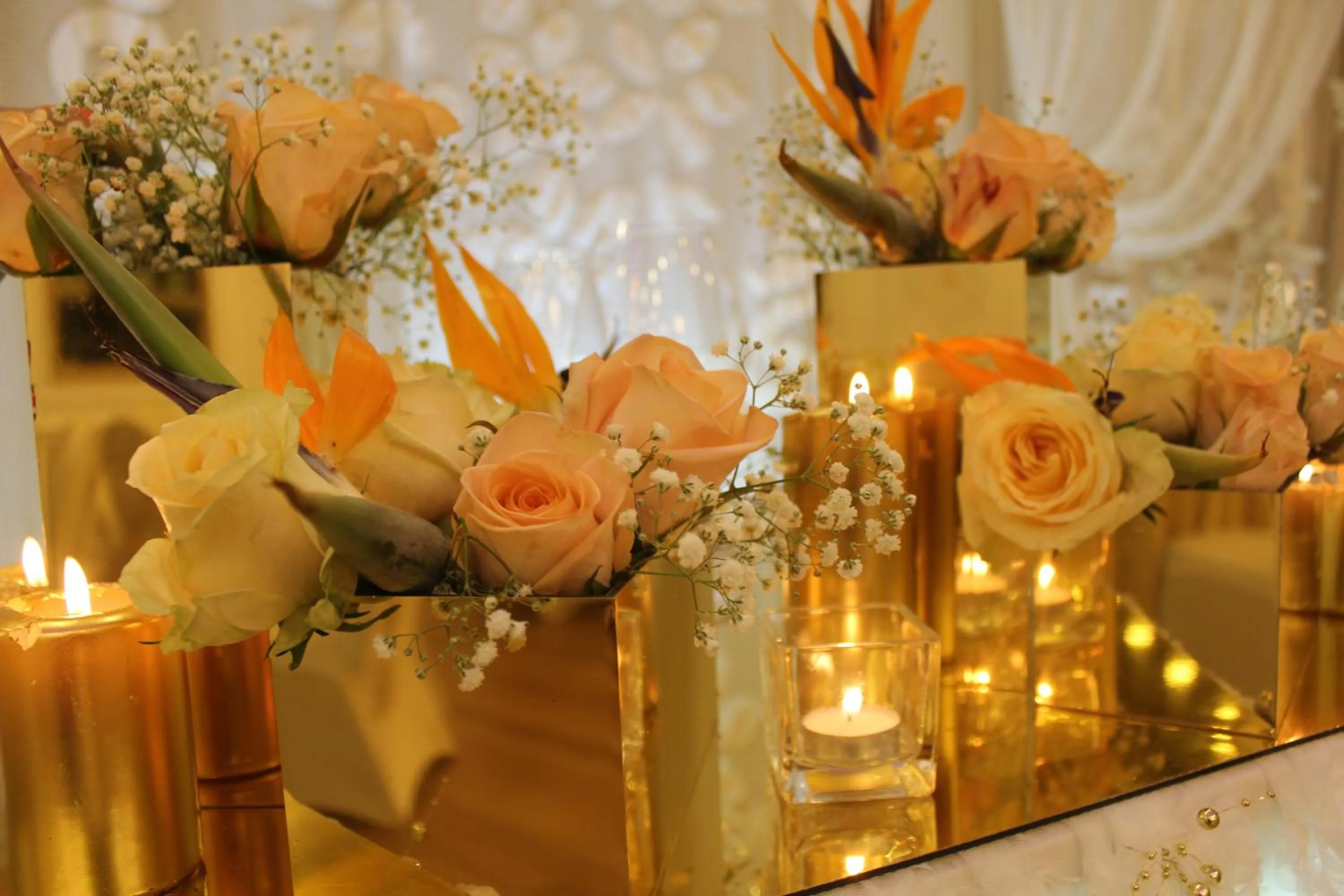 Garden in Tirana International Hotel & Conference Center