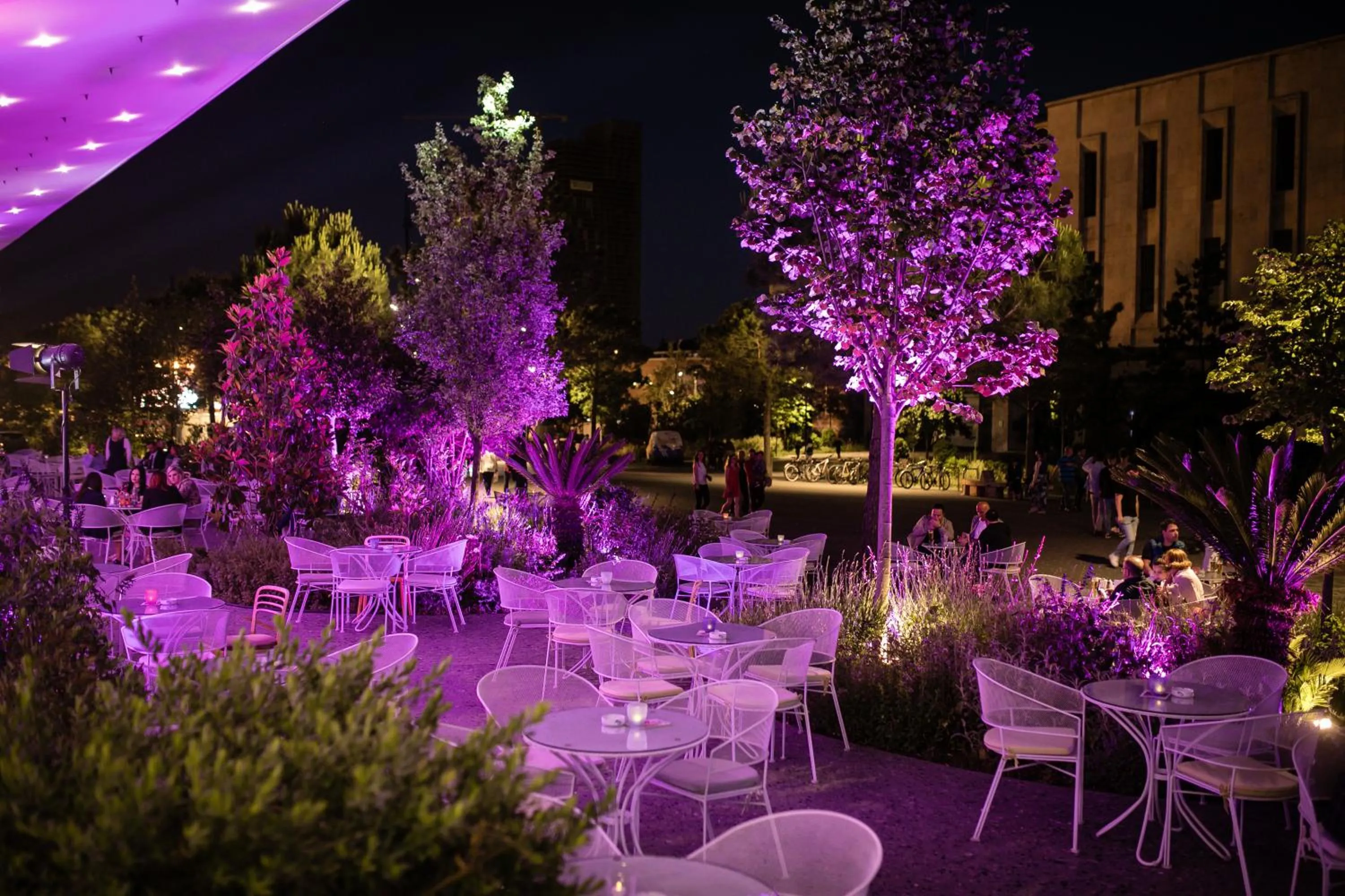 Garden in Tirana International Hotel & Conference Center