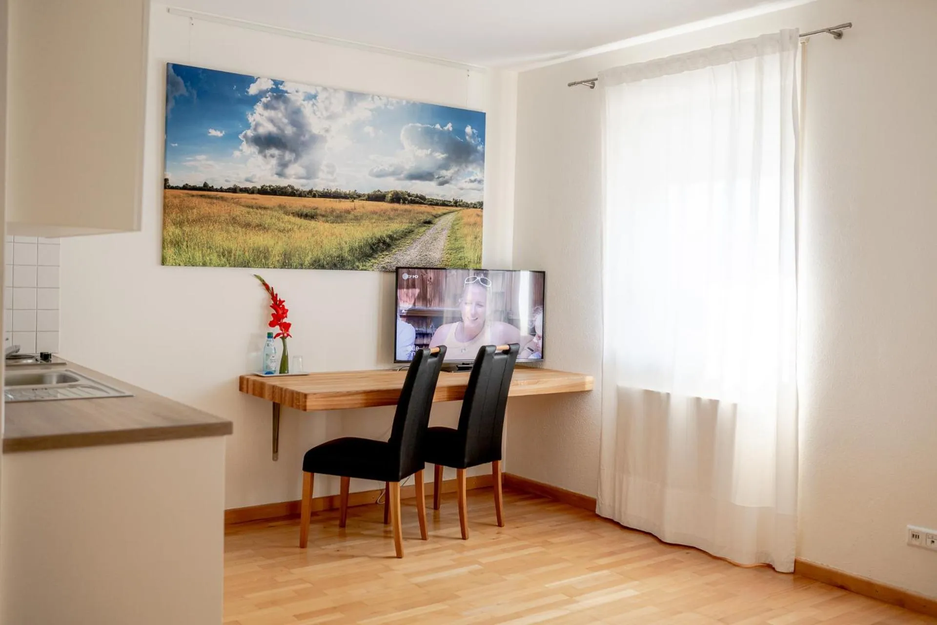 TV and multimedia in Hotel Donau-Ries